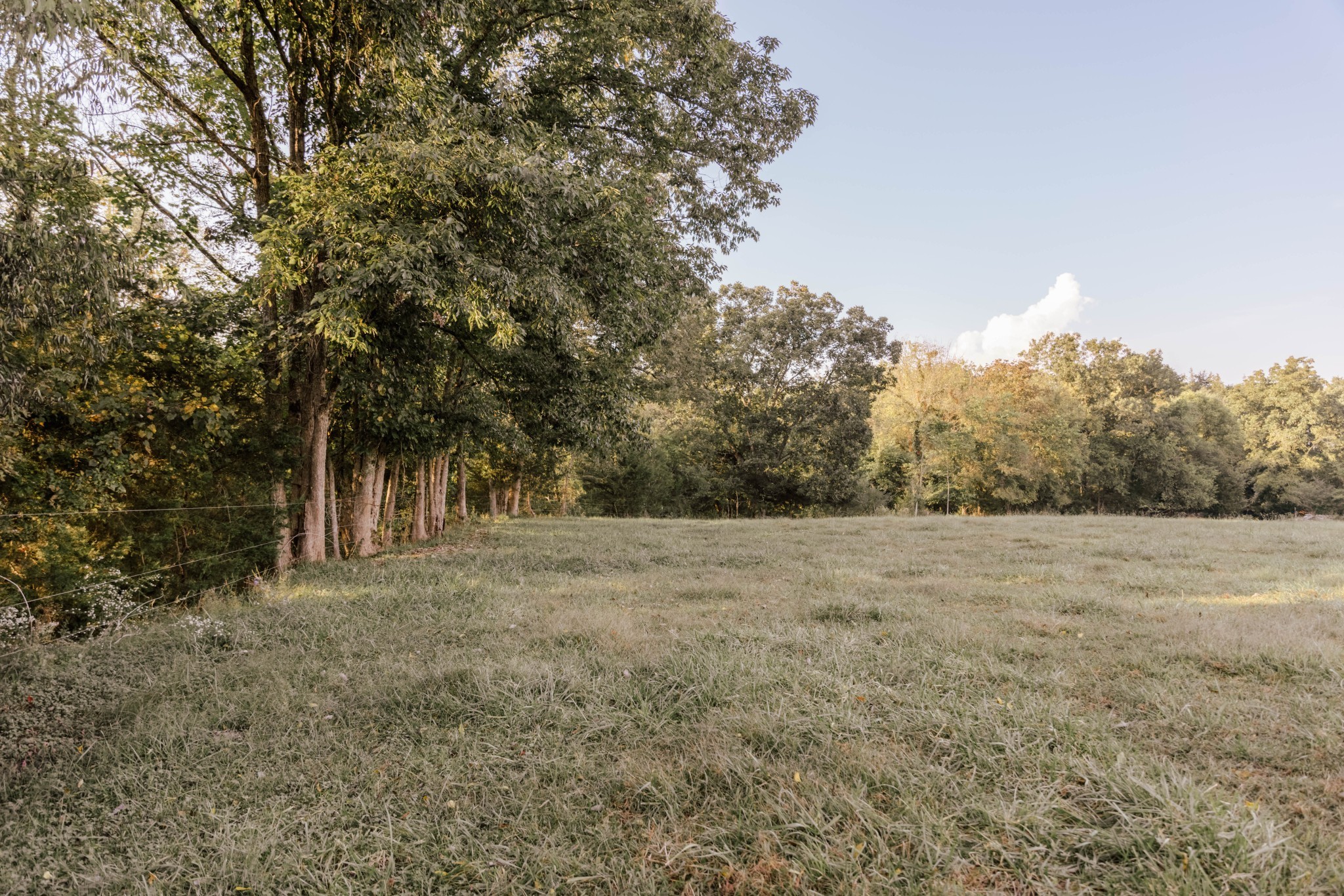 3980 Bradyville Rd