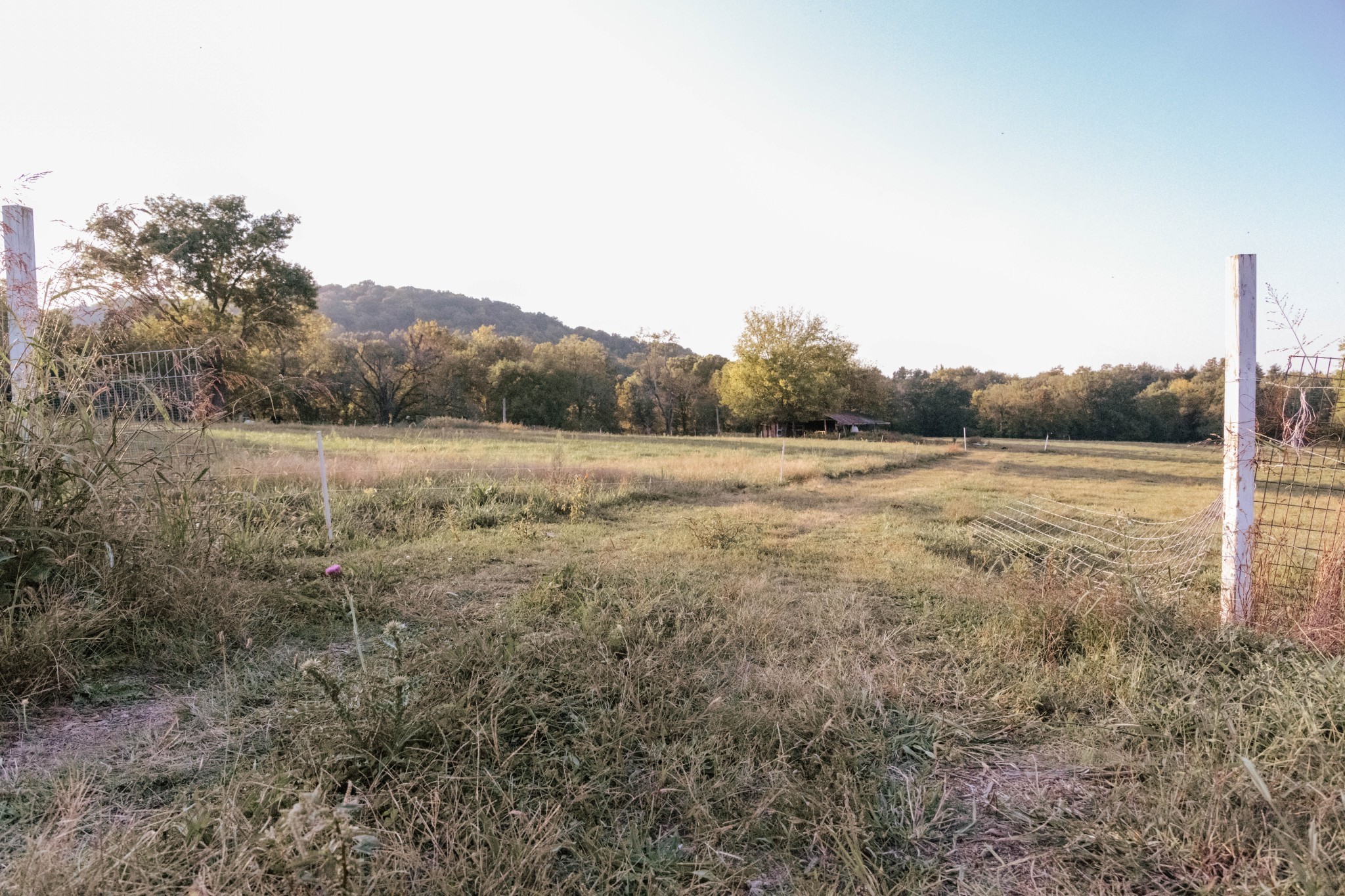 3980 Bradyville Rd