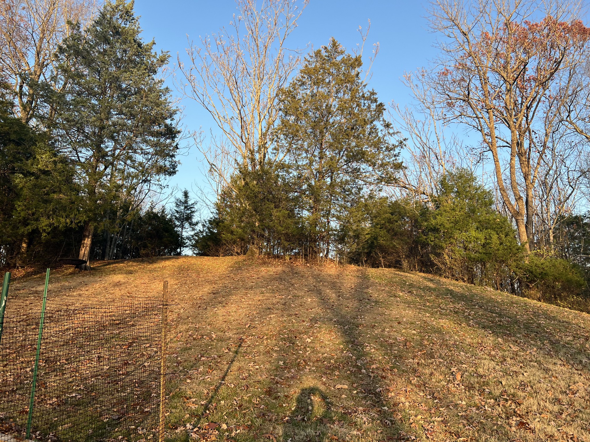 3372 Patton Branch Rd