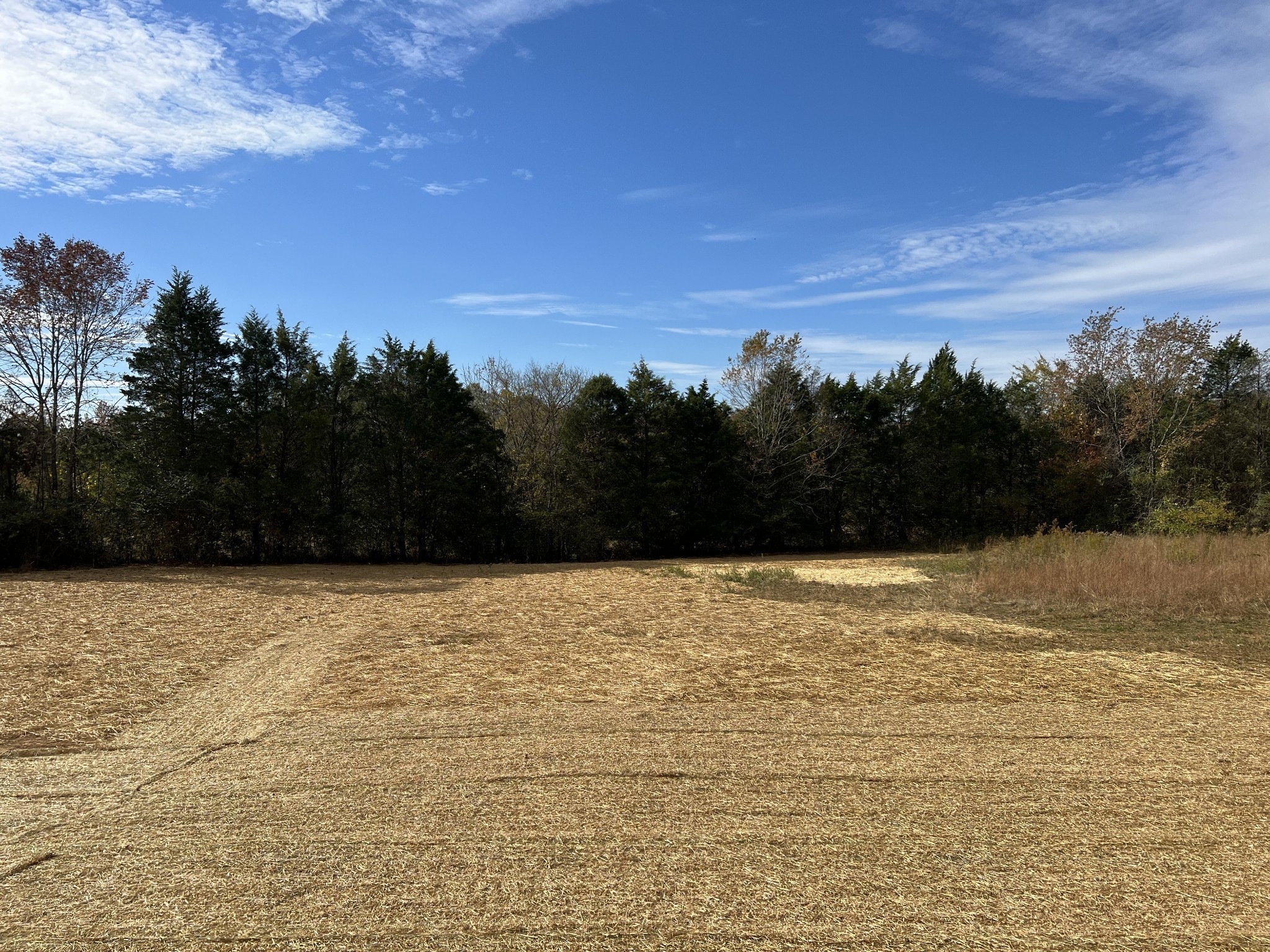 220 Breckenridge Glen Dr