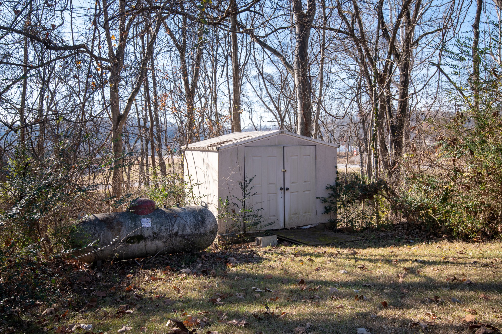 117 Hibiscus Dr