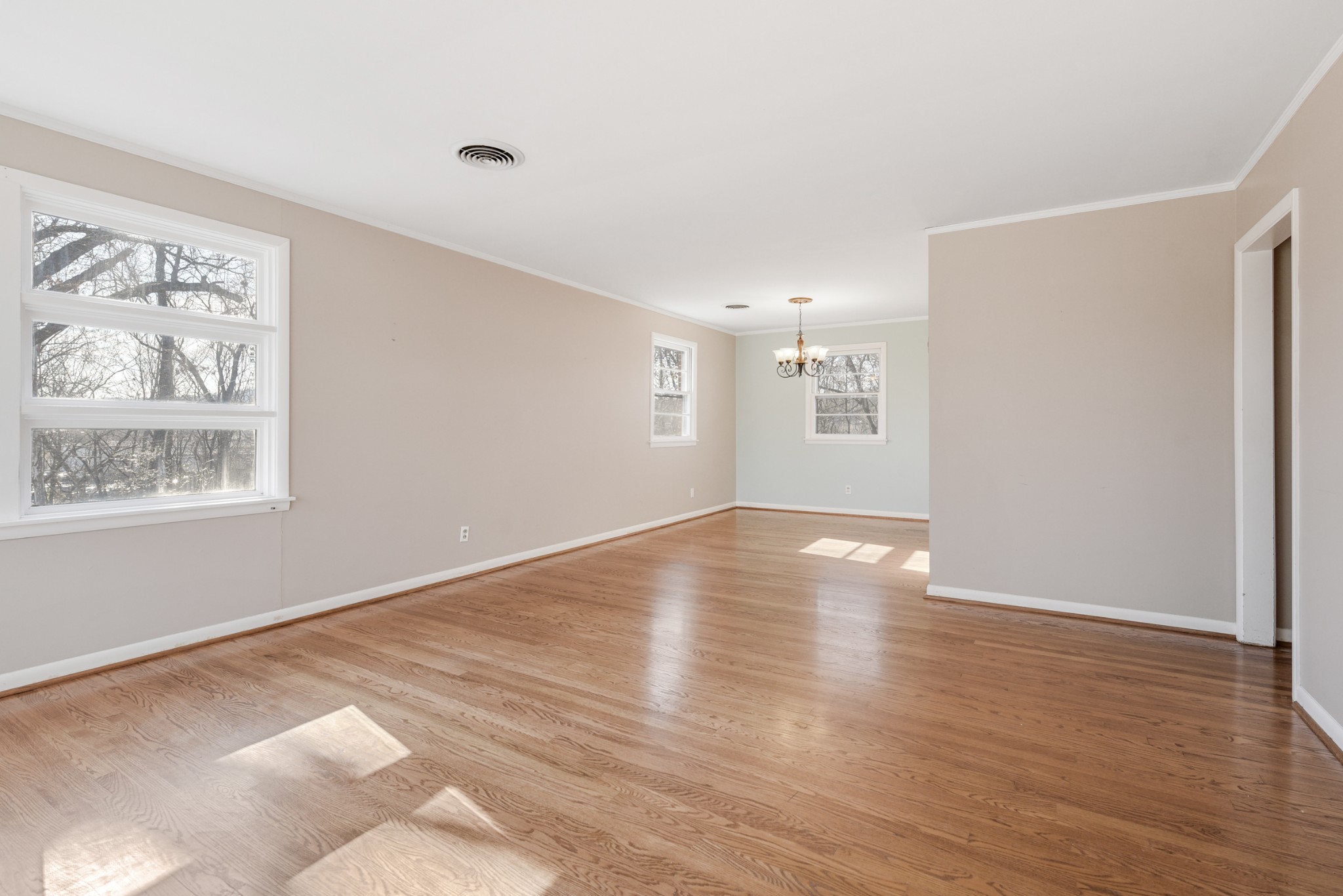 117 Hibiscus Dr