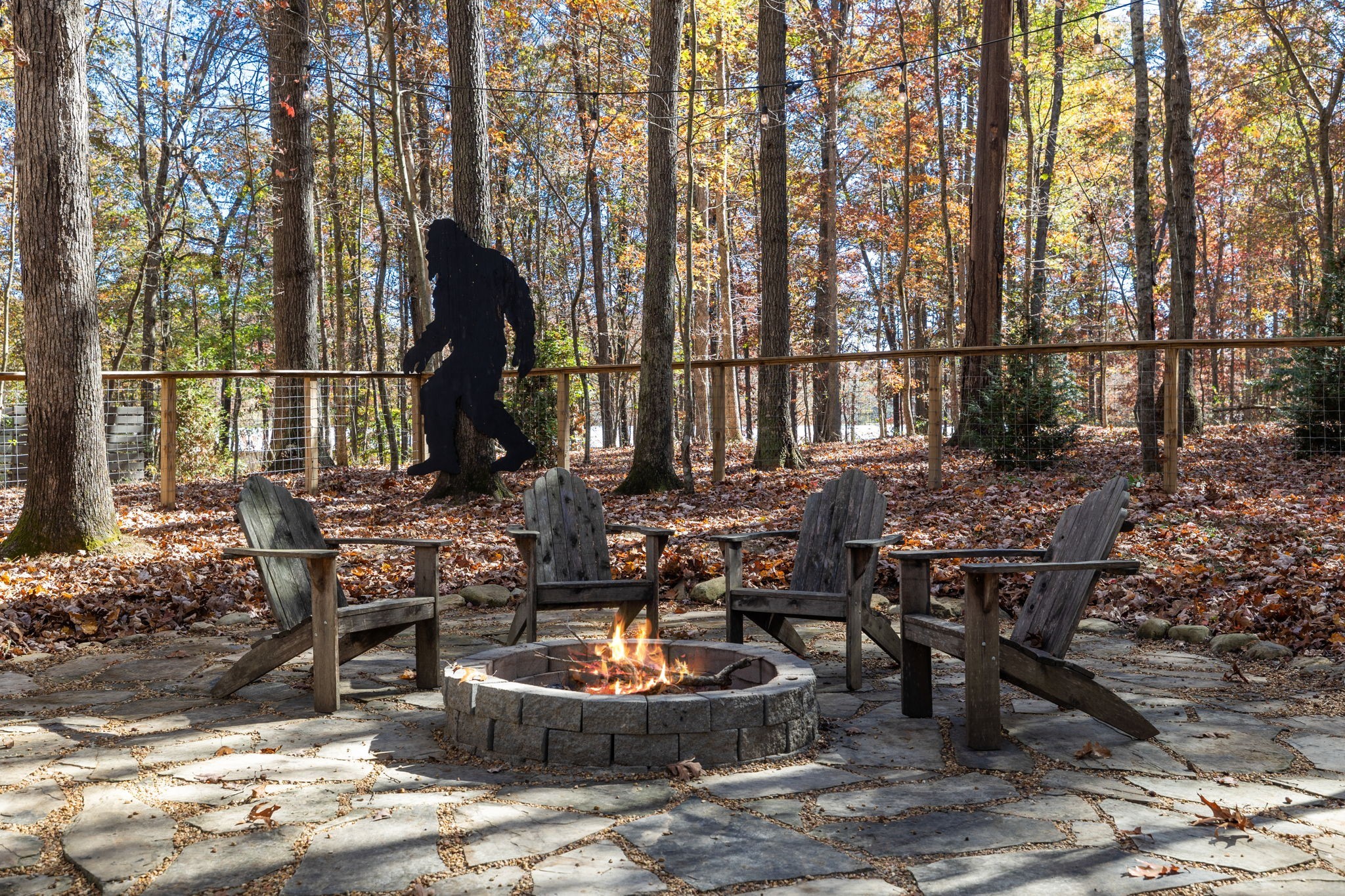 135 Deer Lick Trail