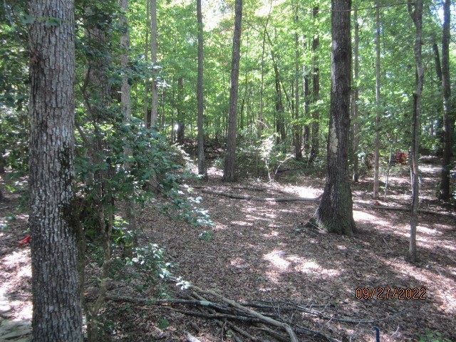 135 Deer Lick Trail