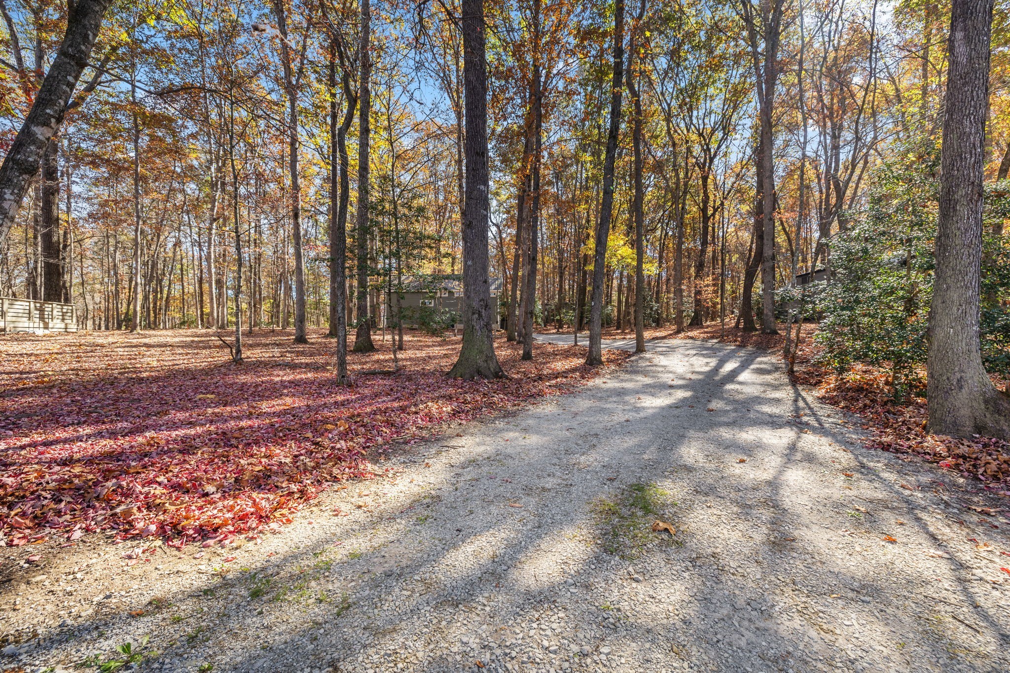 135 Deer Lick Trail