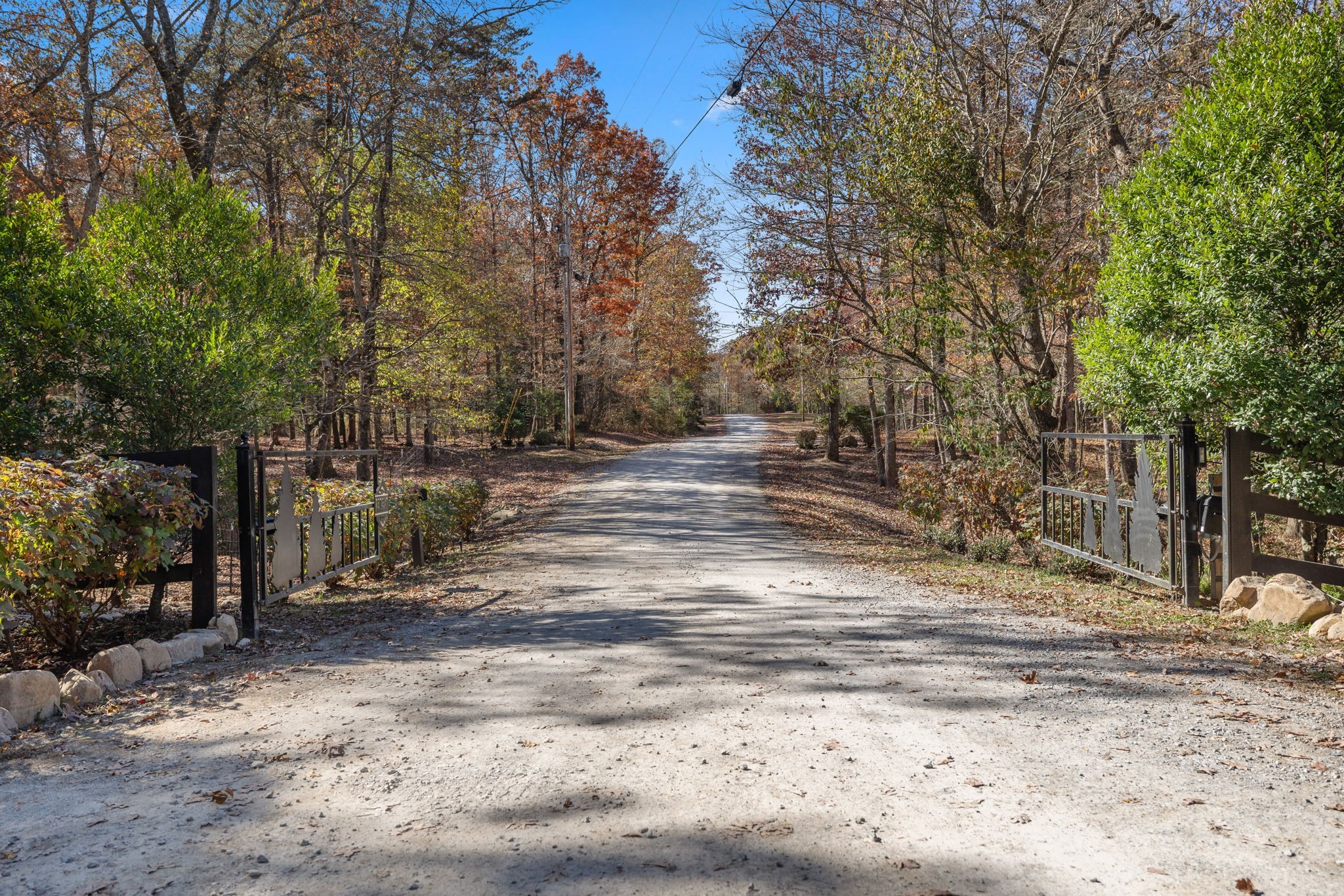 135 Deer Lick Trail