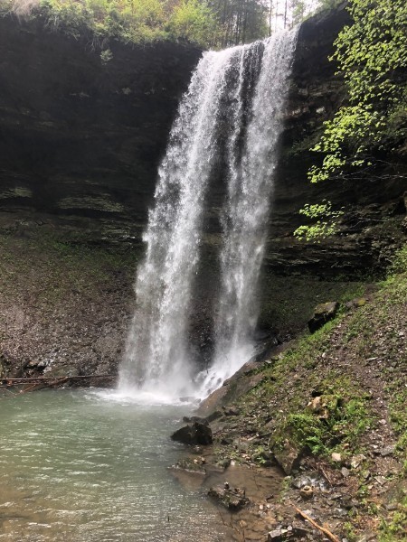 135 Deer Lick Trail
