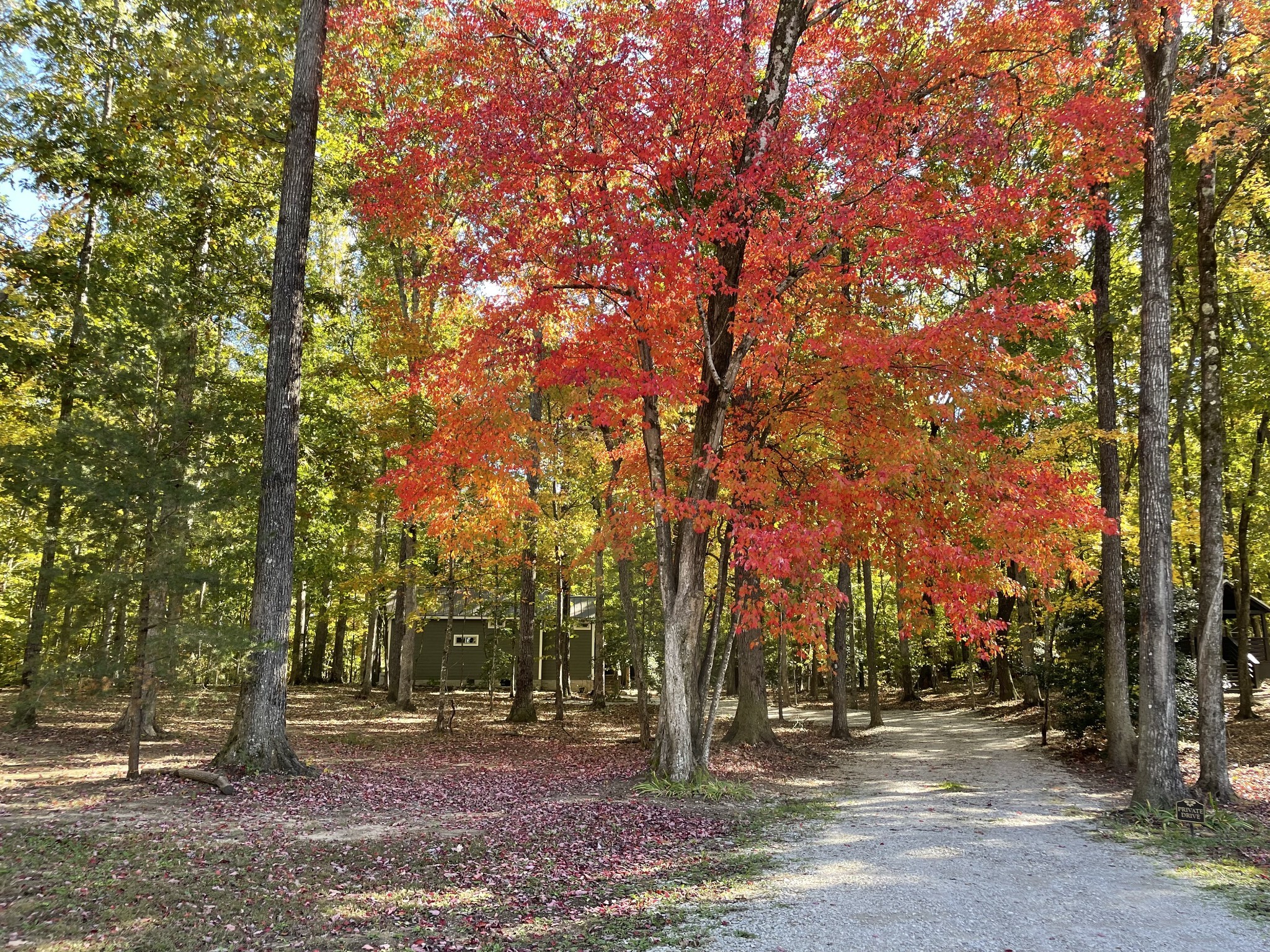 135 Deer Lick Trail