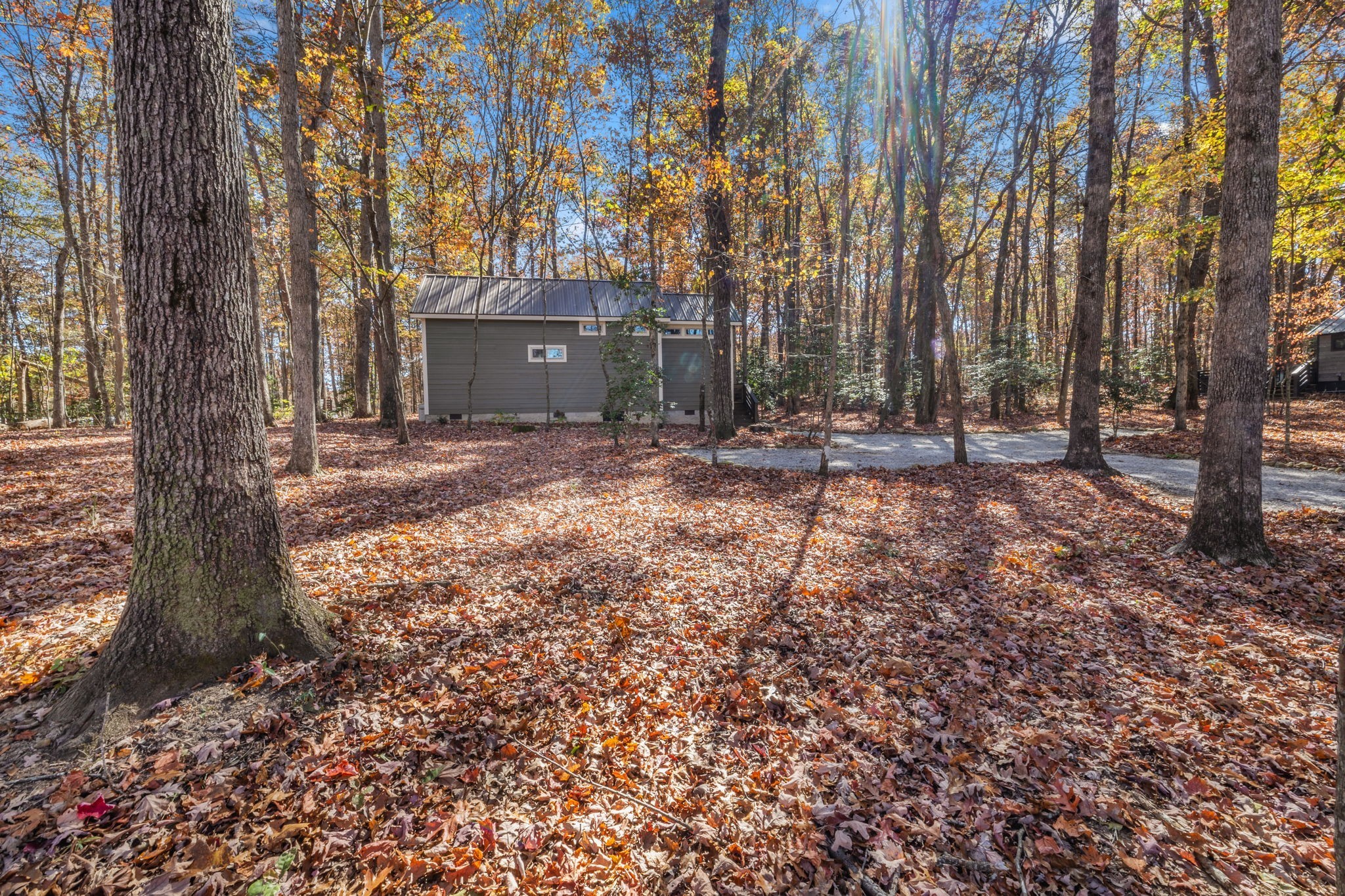 135 Deer Lick Trail
