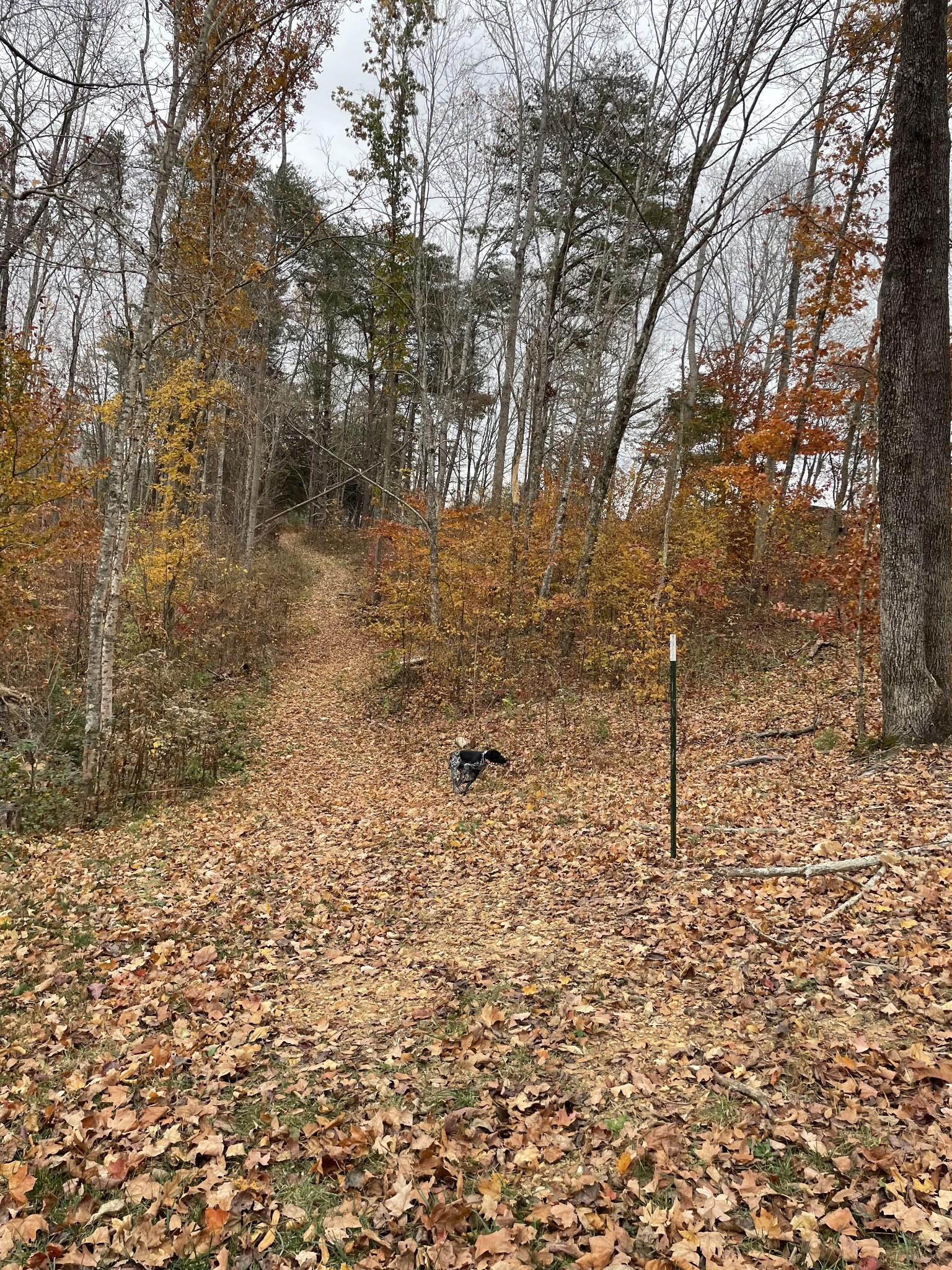 1148 Carney Winters Rd