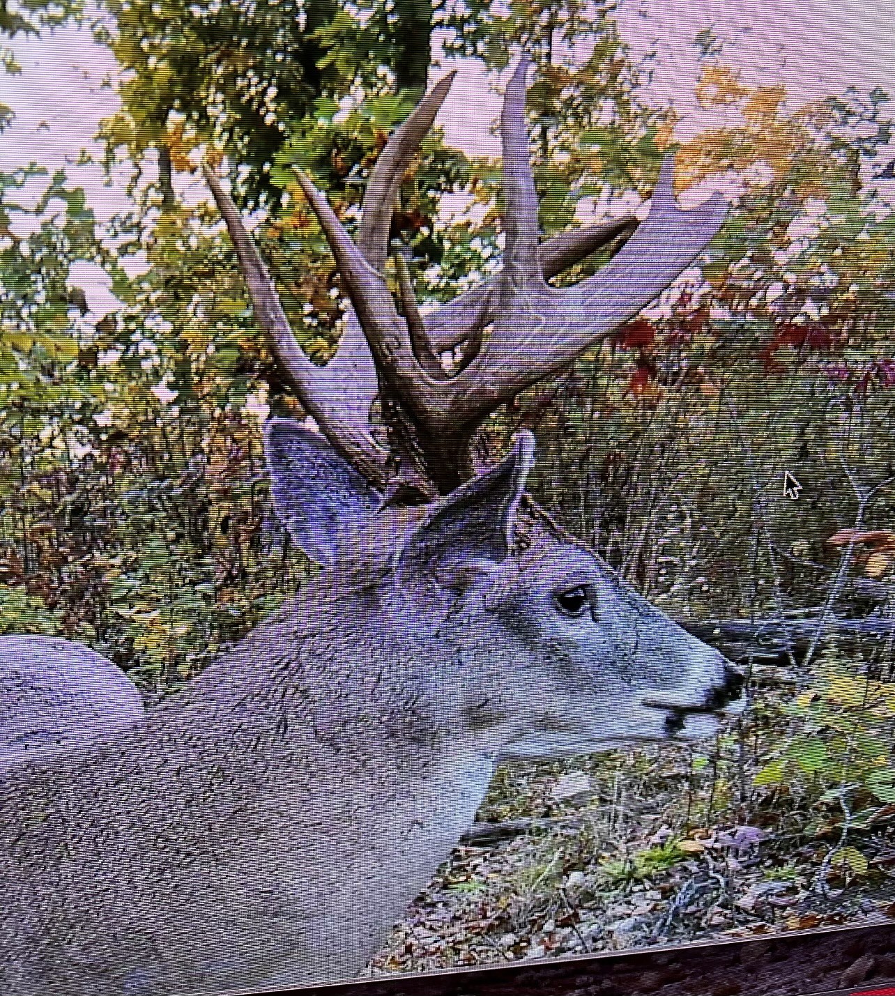 1148 Carney Winters Rd