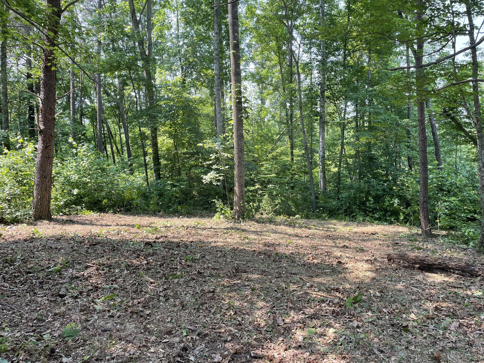 1148 Carney Winters Rd