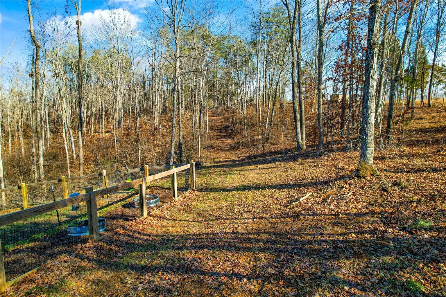 1148 Carney Winters Rd