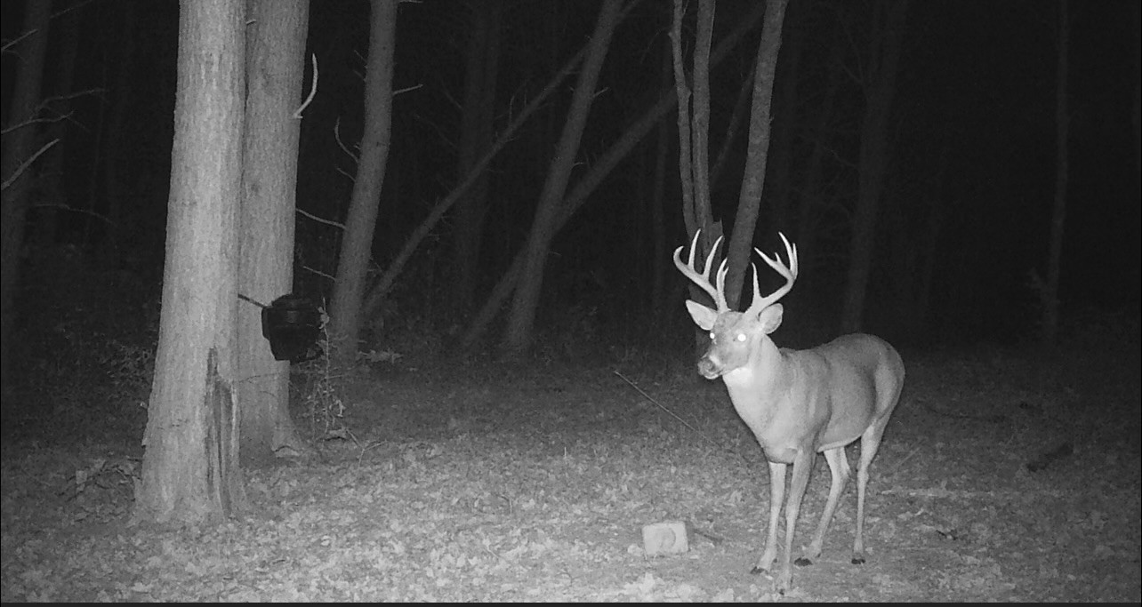 1148 Carney Winters Rd