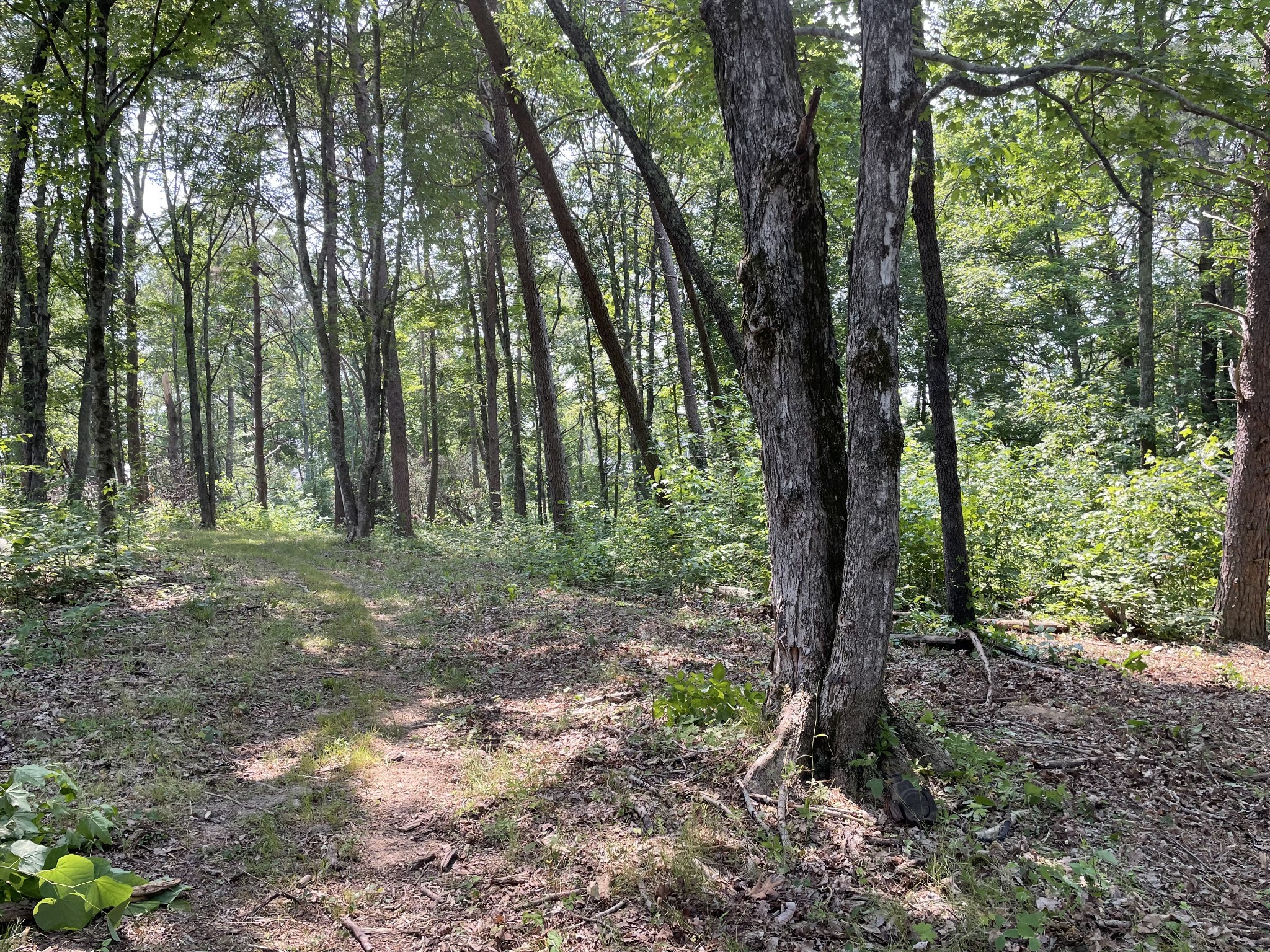 1148 Carney Winters Rd