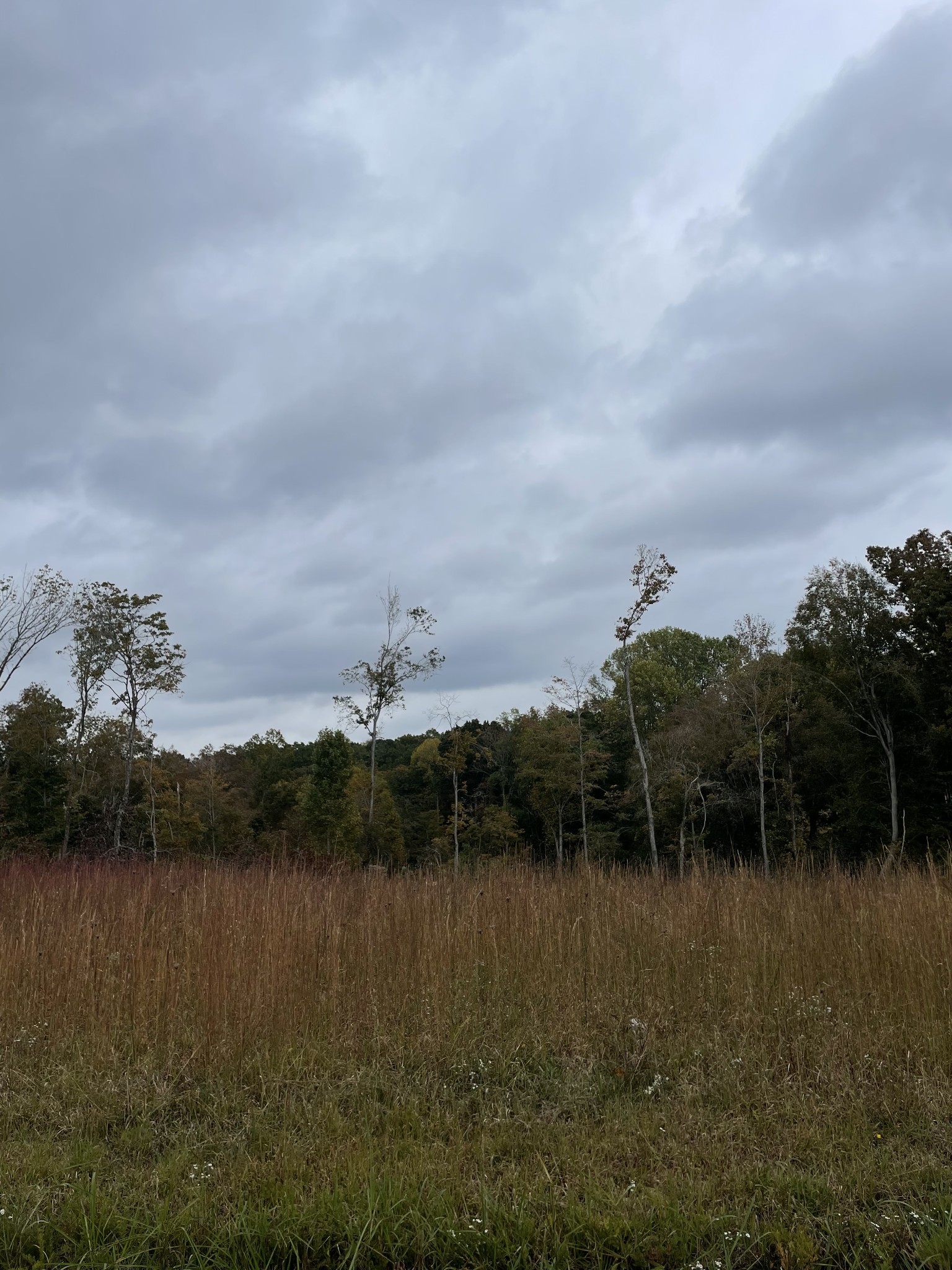 1148 Carney Winters Rd