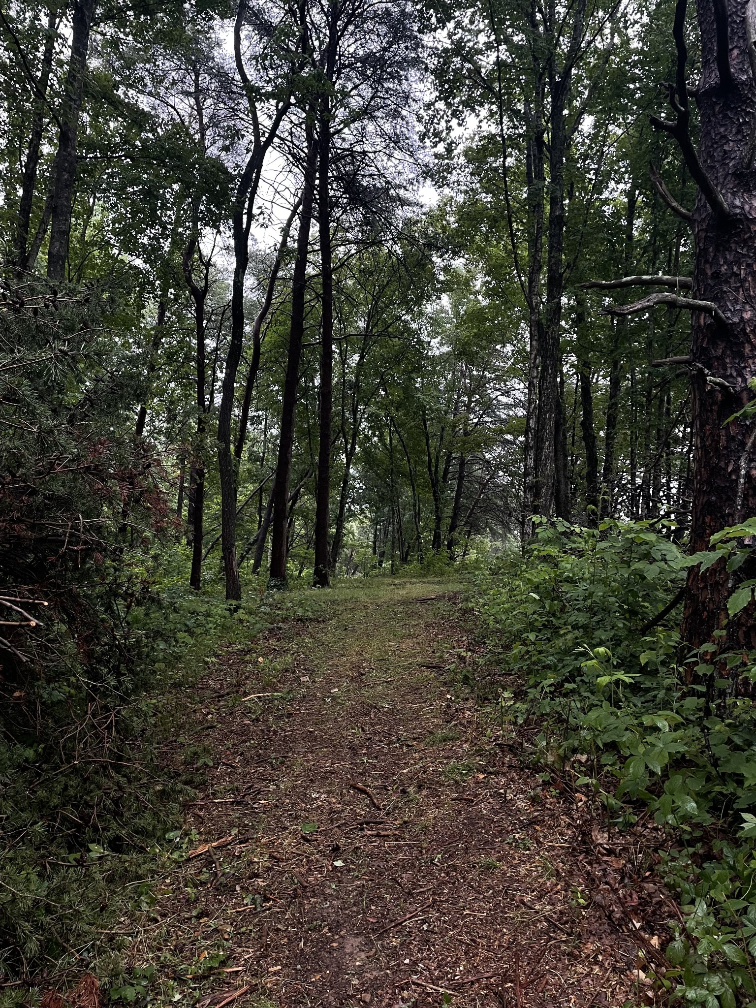 1148 Carney Winters Rd