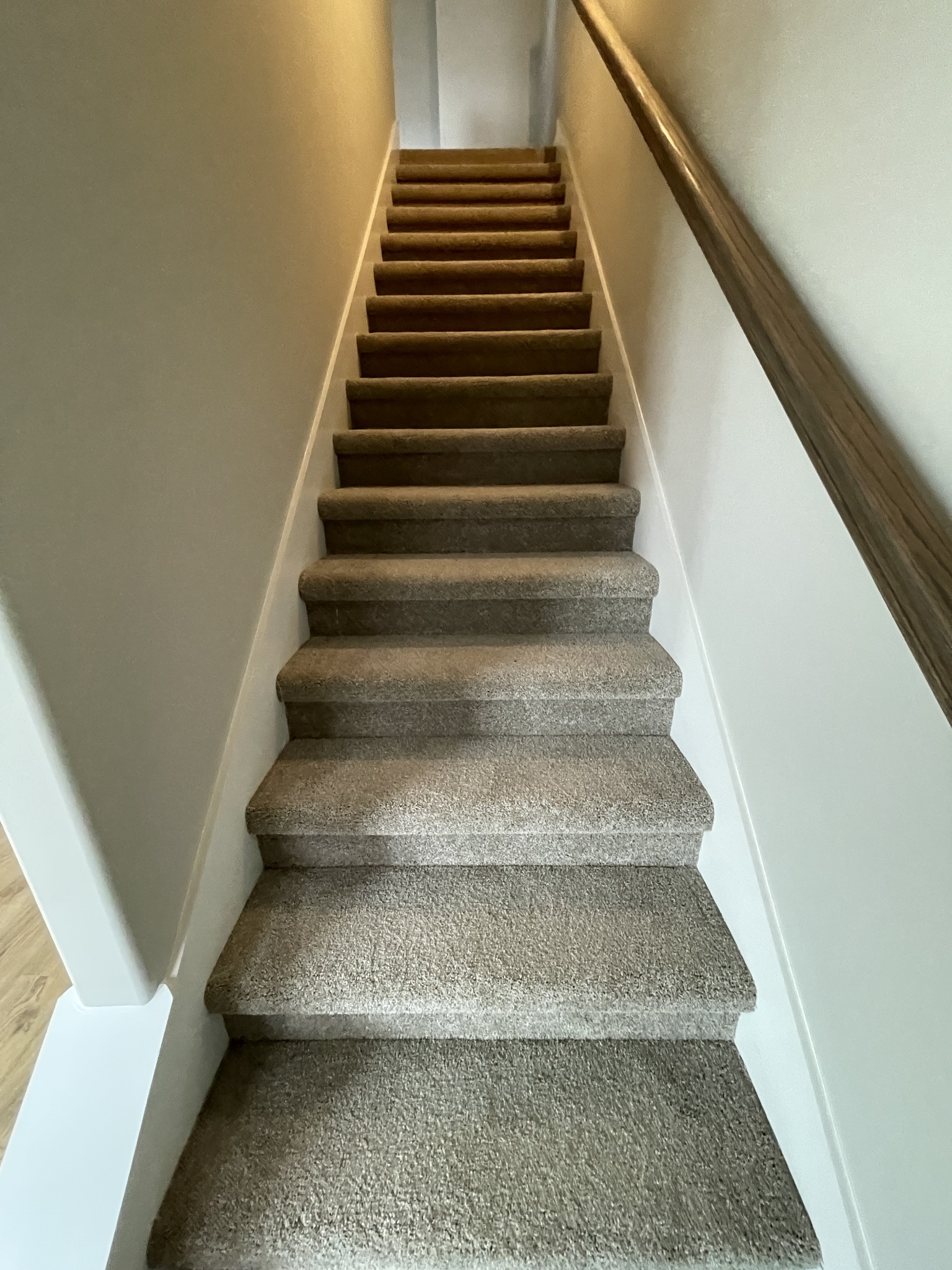 1406 Rebecca Johns Dr