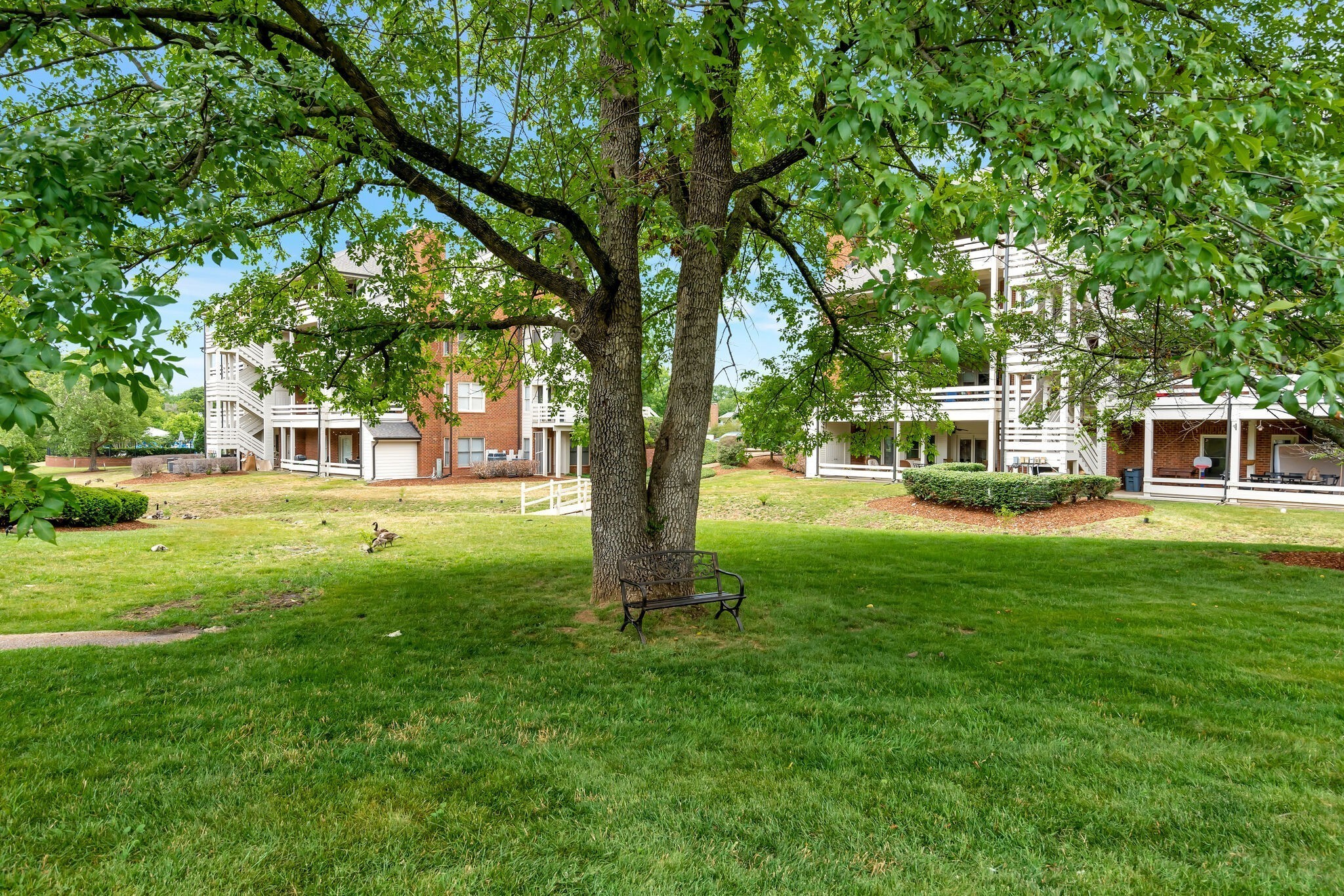 234 Boxmere Pl