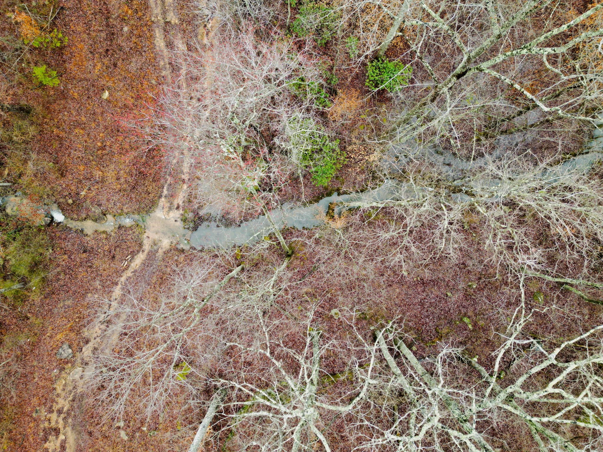 207 Sunset Bluff Way