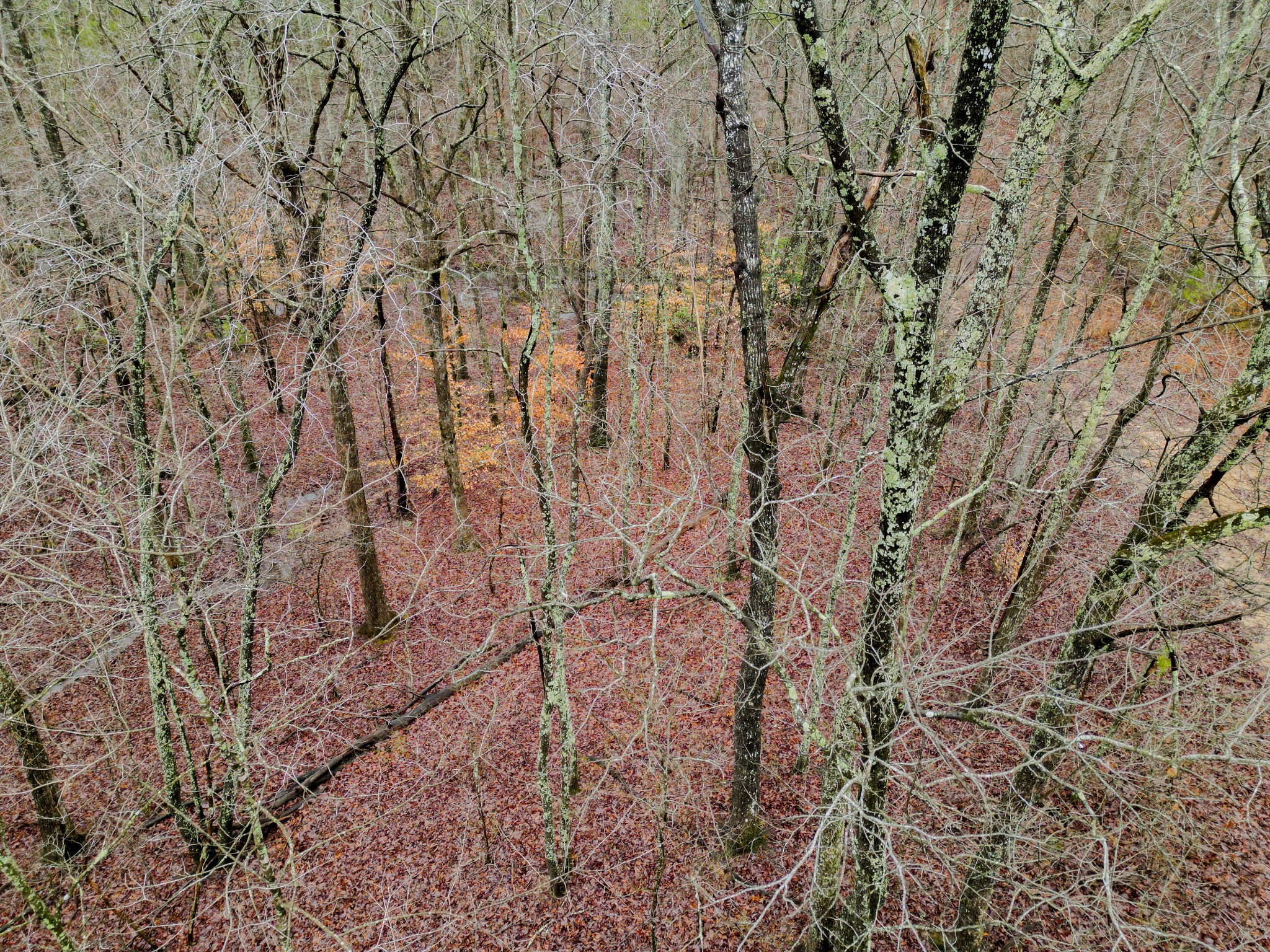 207 Sunset Bluff Way