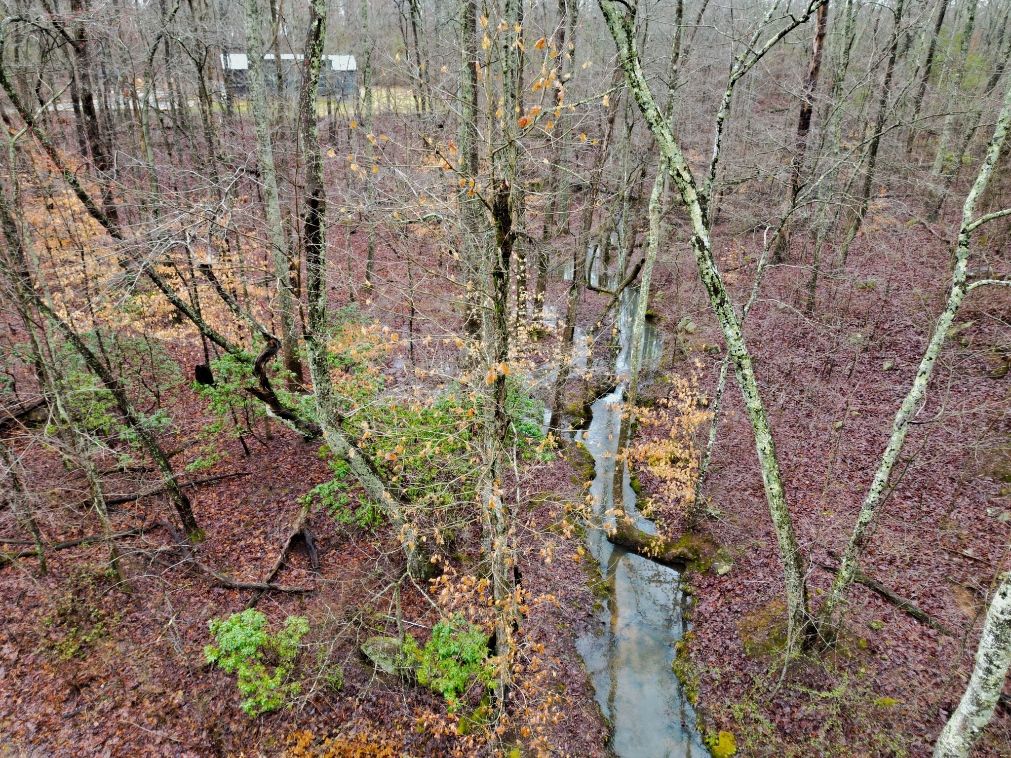 207 Sunset Bluff Way