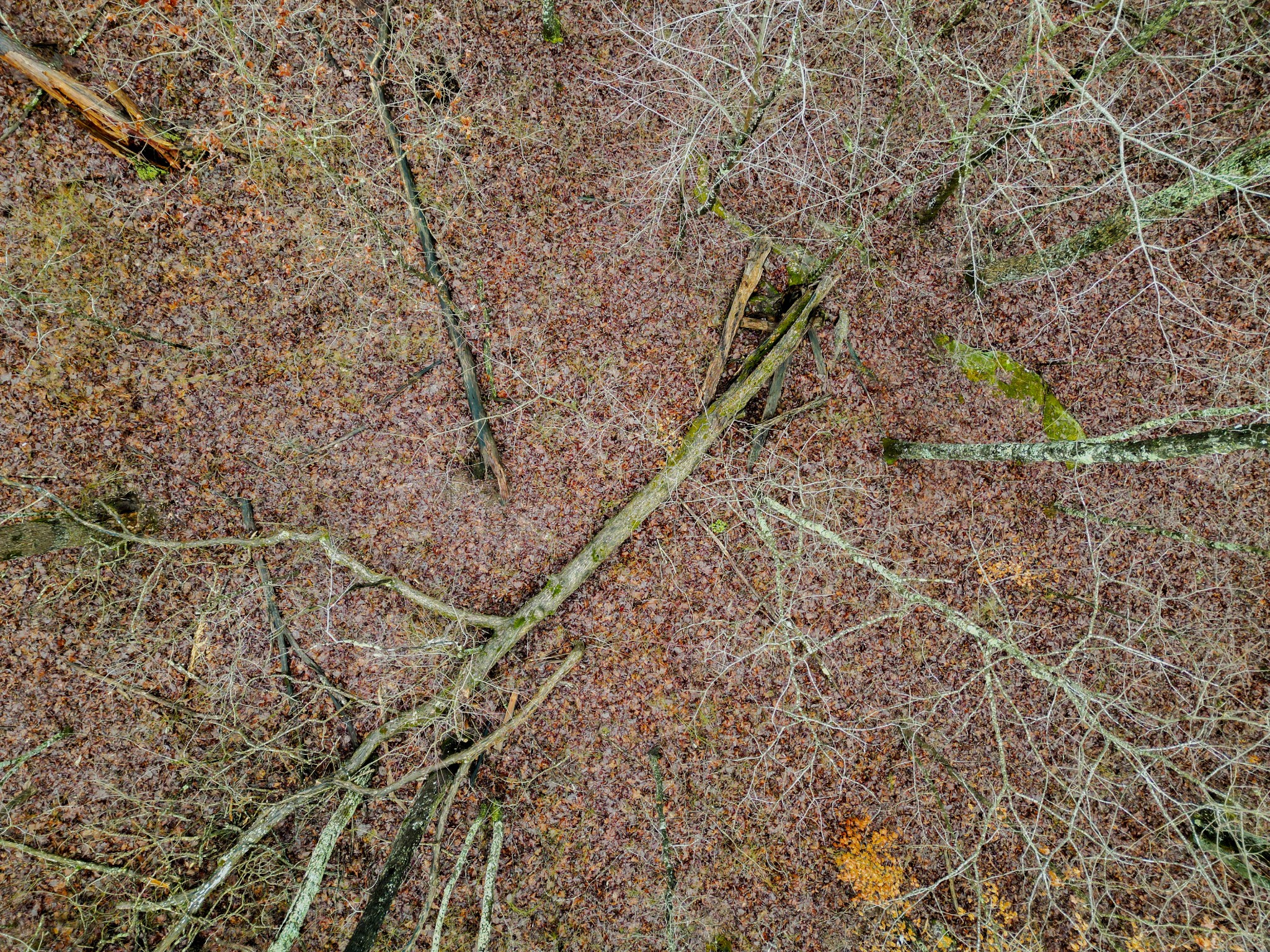 207 Sunset Bluff Way