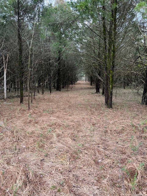 135 Almaville Rd