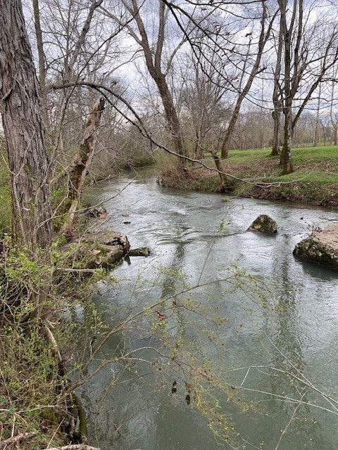 135 Almaville Rd