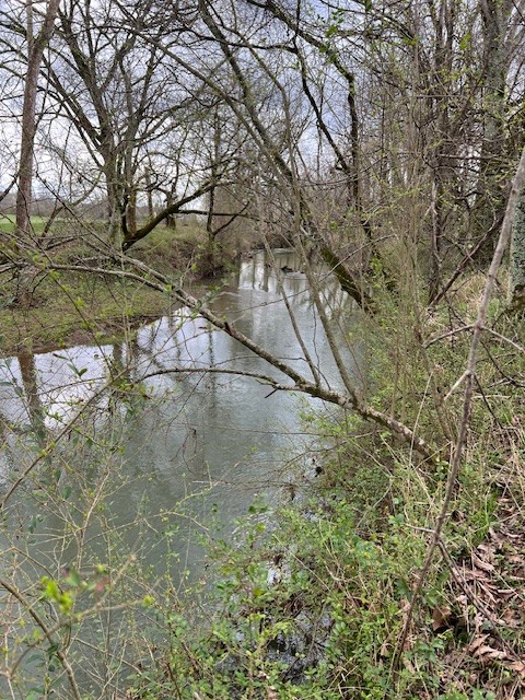 135 Almaville Rd