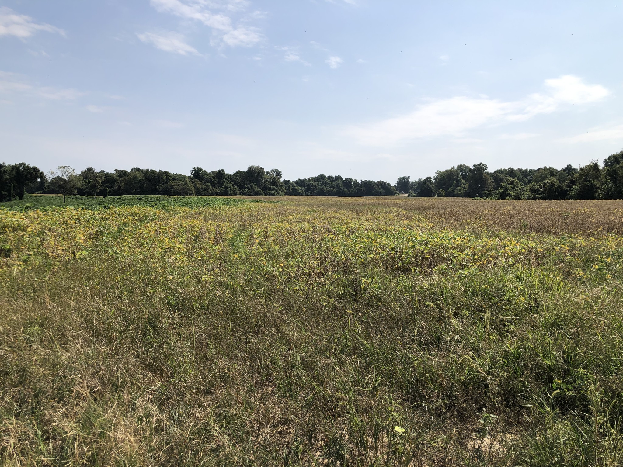 17168 HWY 59