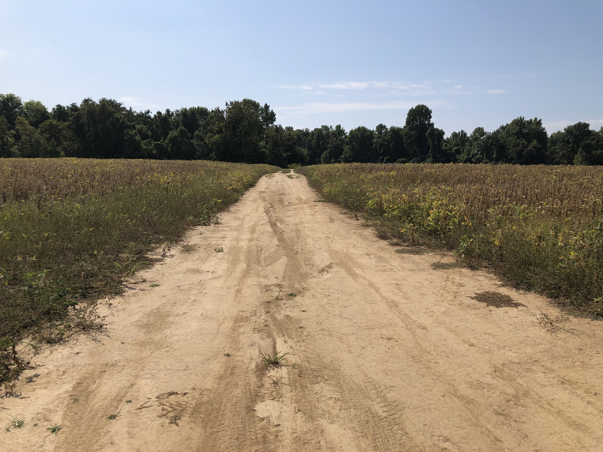 17168 HWY 59