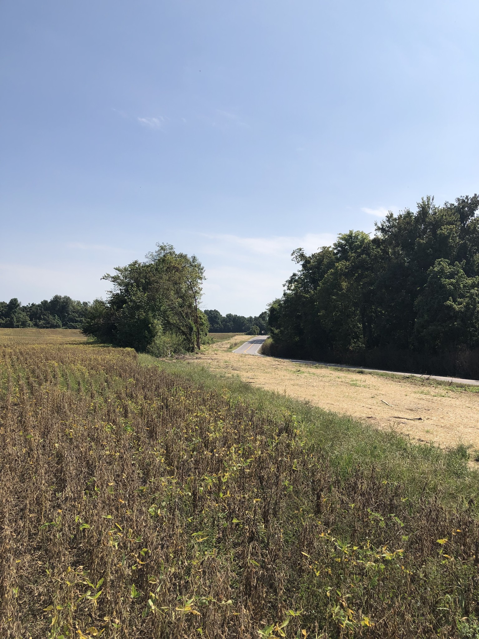 17168 HWY 59