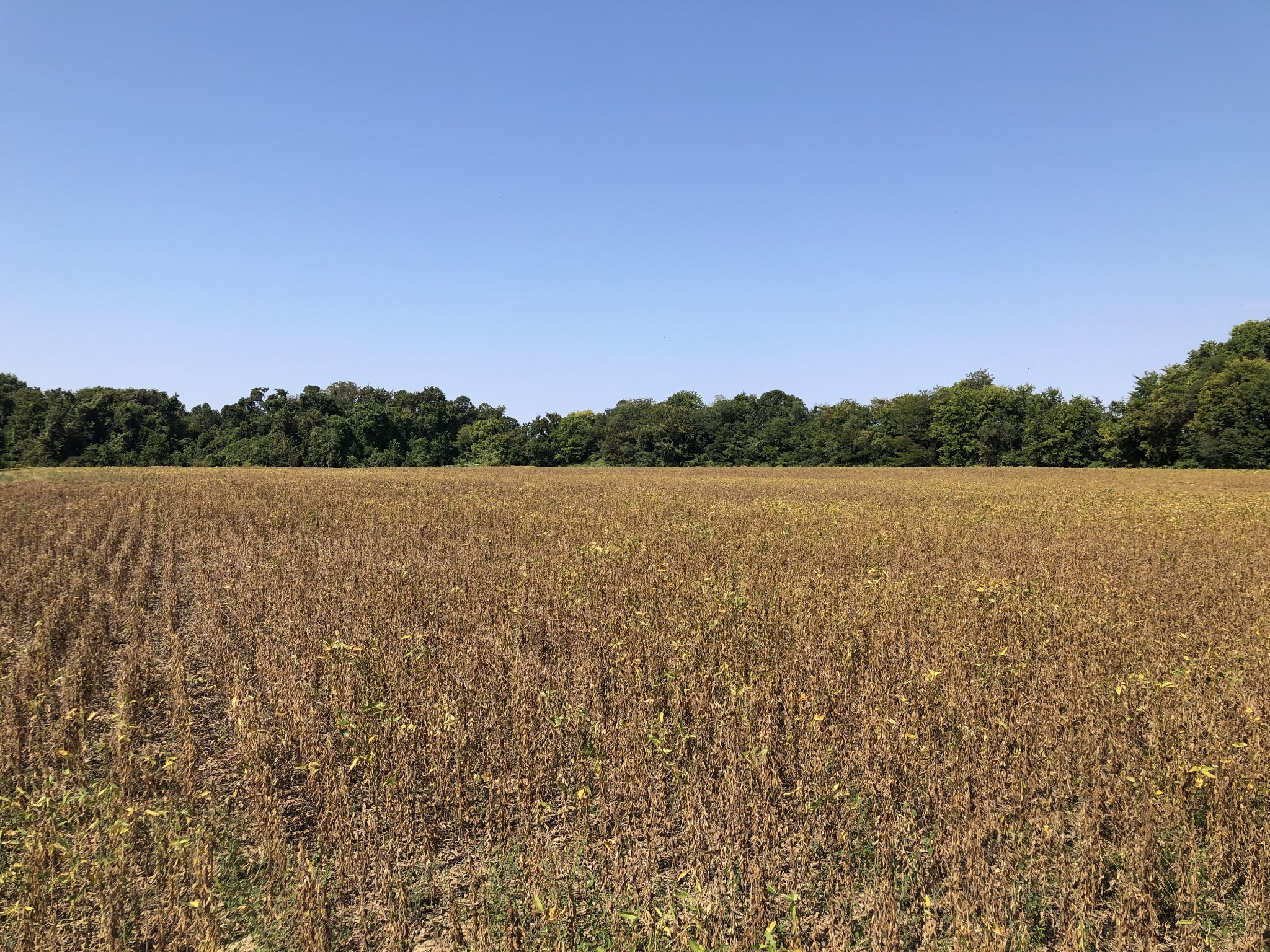 17168 HWY 59