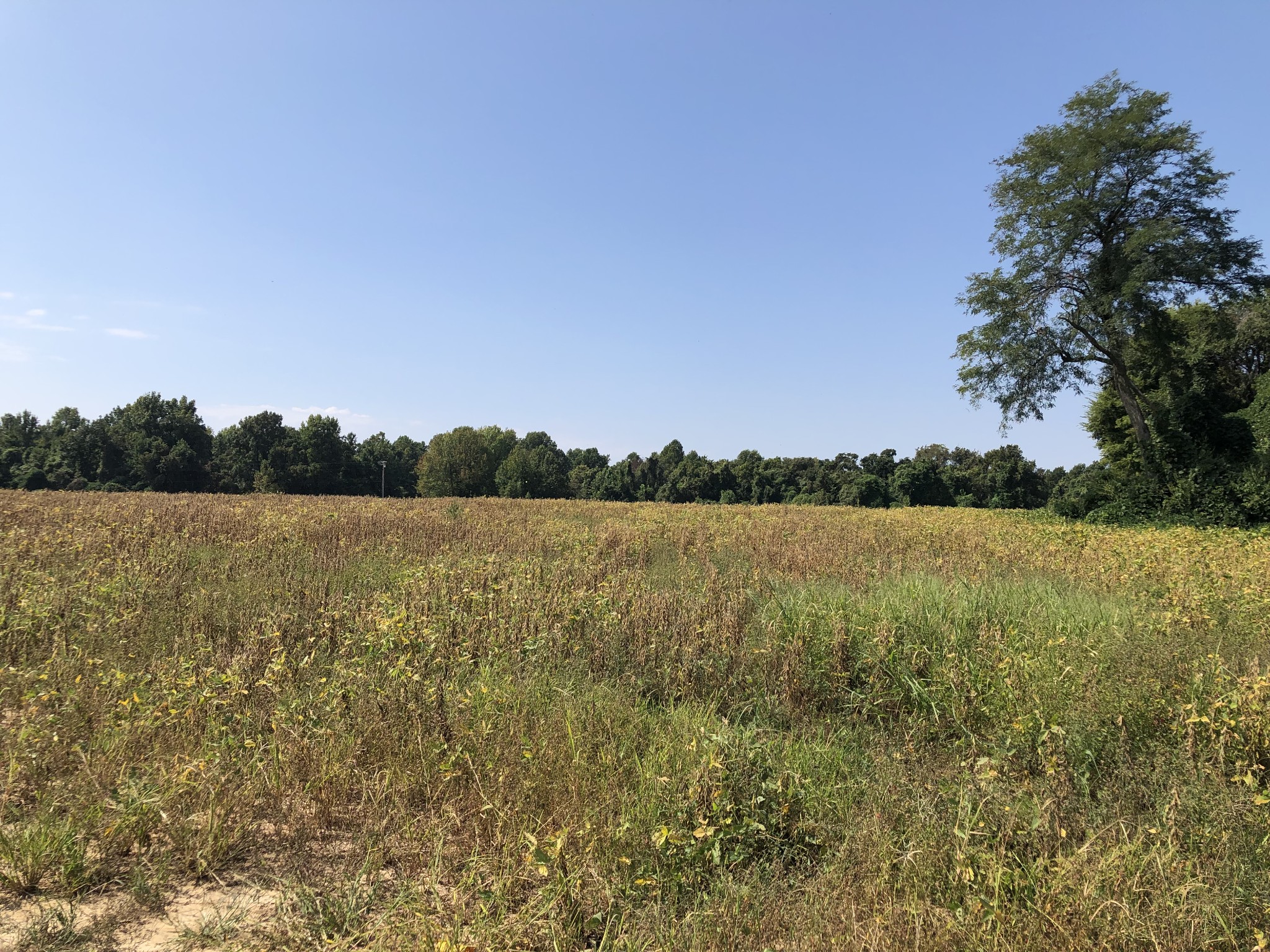 17168 HWY 59