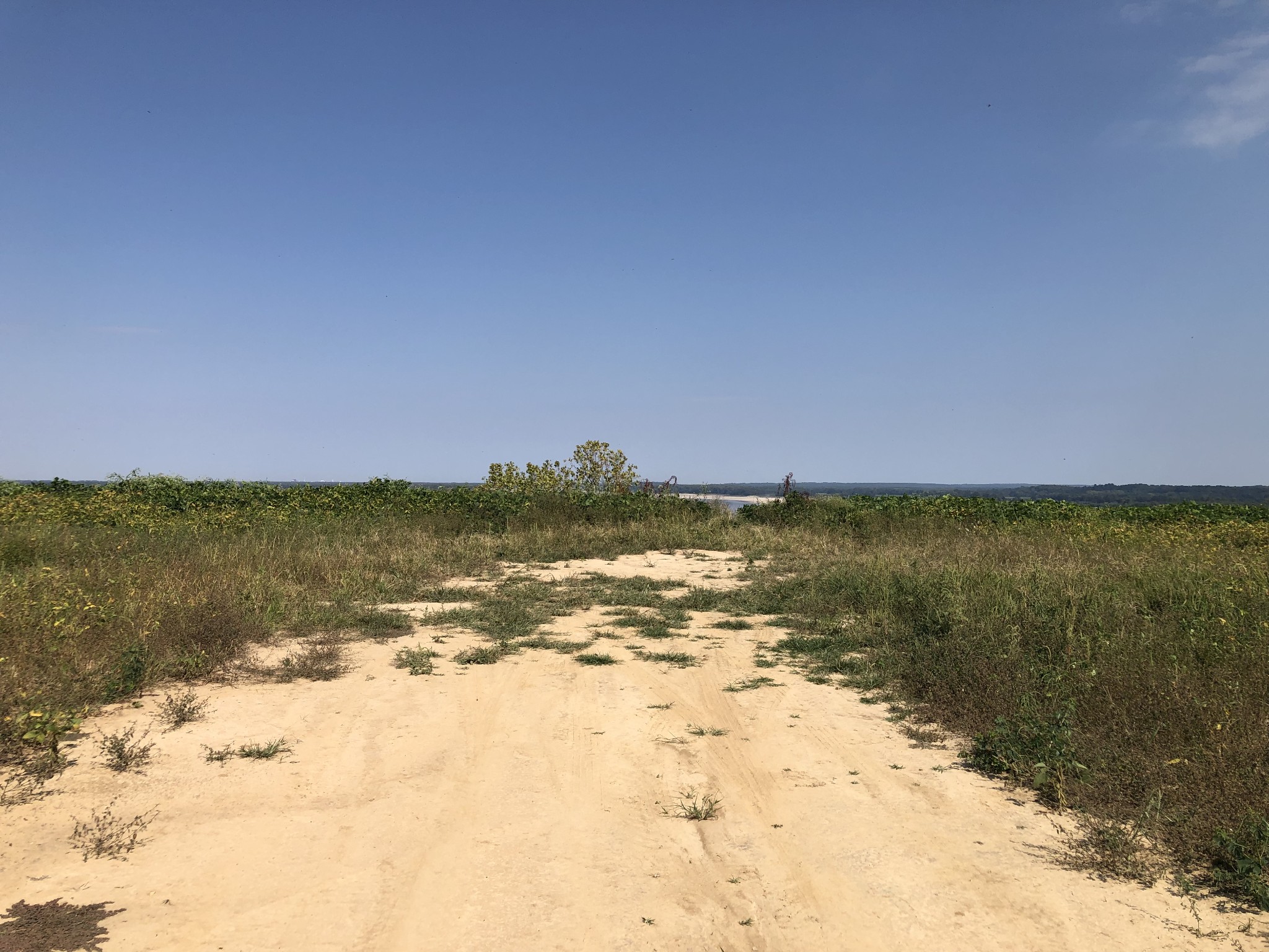 17168 HWY 59