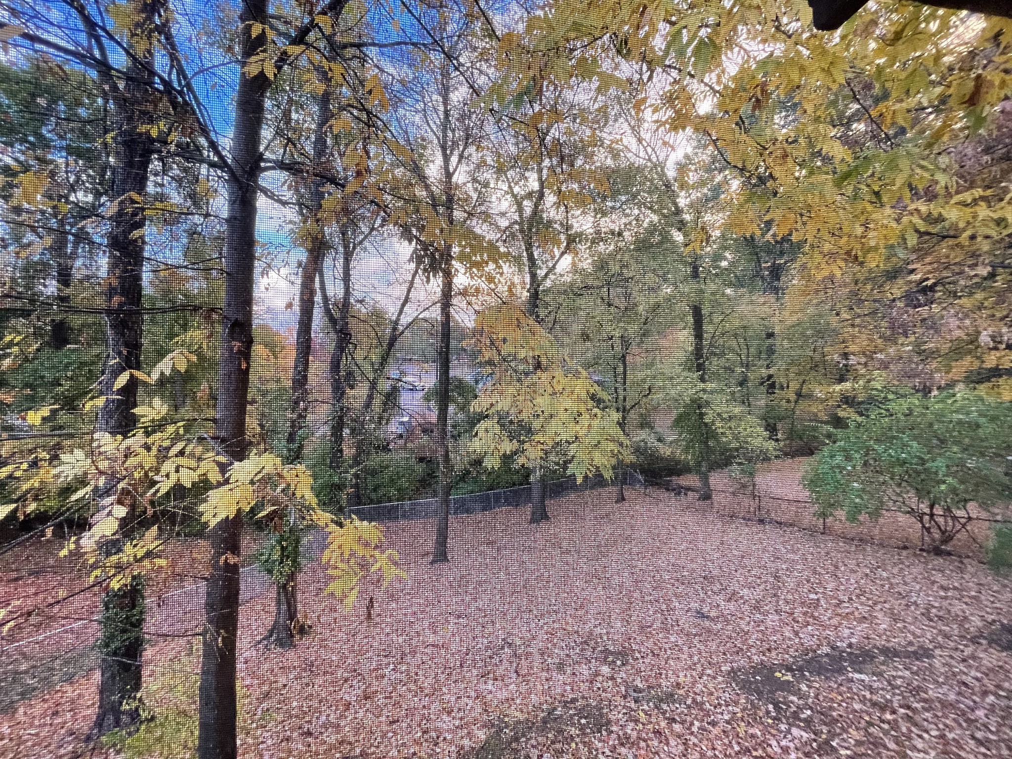 416 Bonnawood Dr