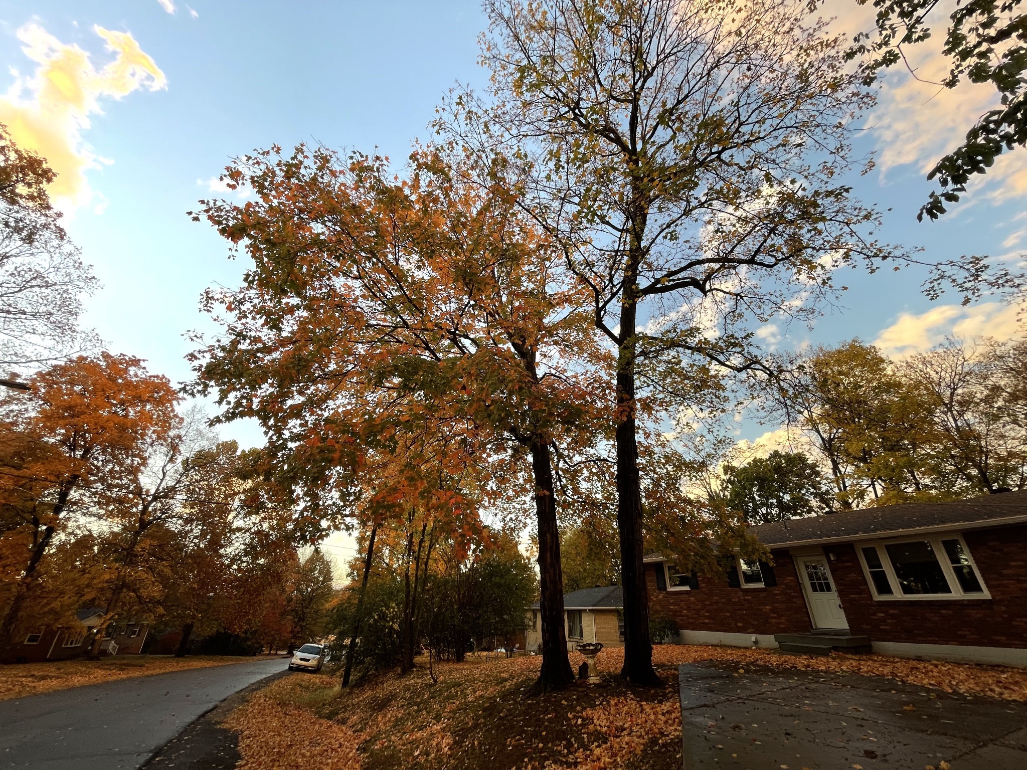 416 Bonnawood Dr