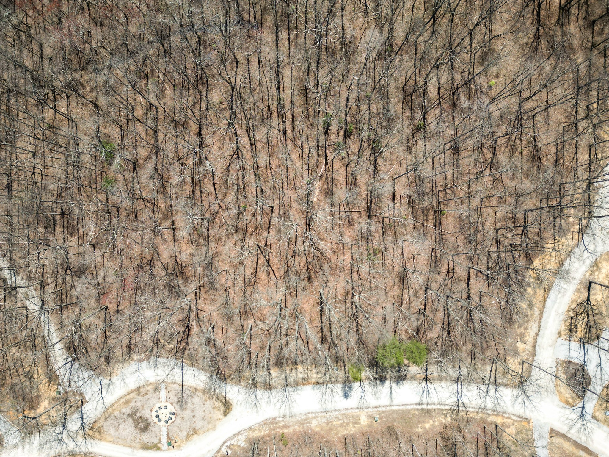 147 Sunset Bluff Way