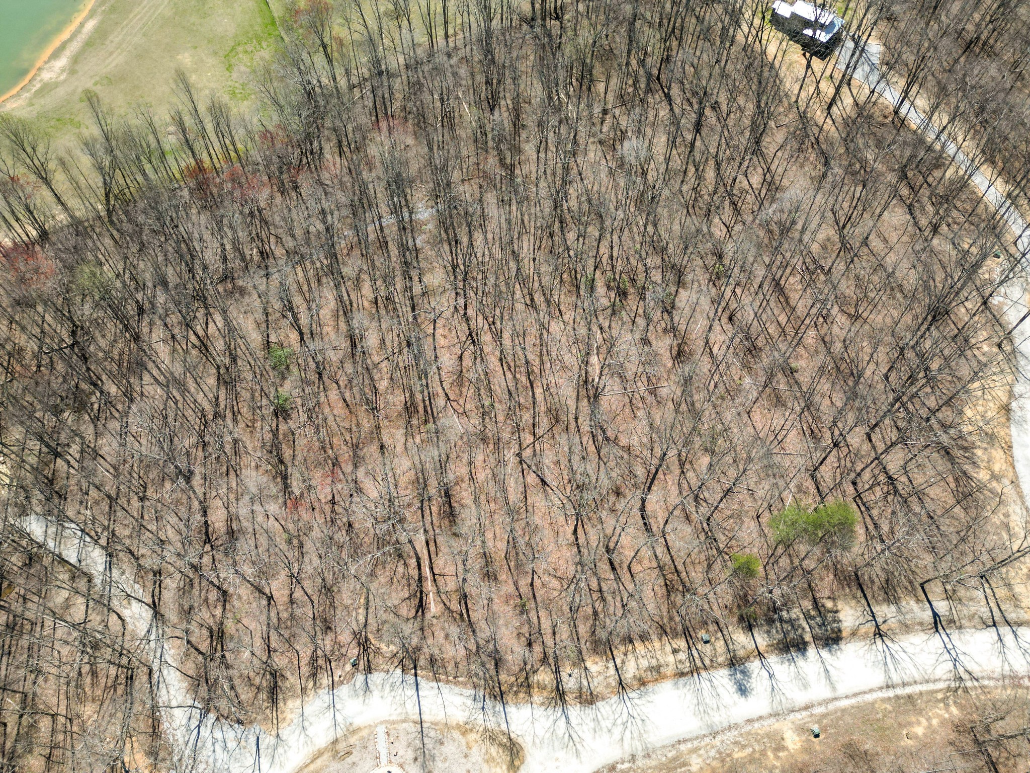 147 Sunset Bluff Way