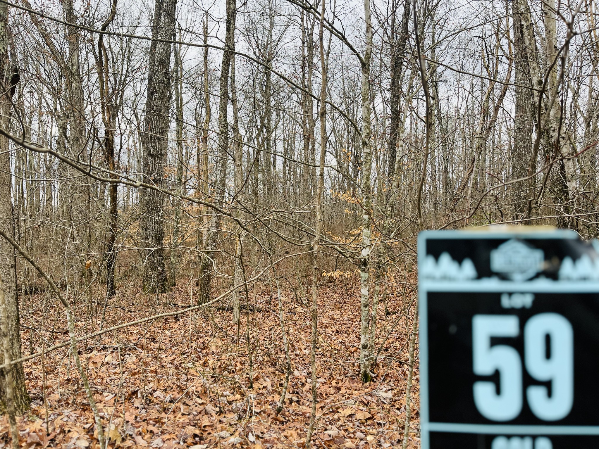 147 Sunset Bluff Way