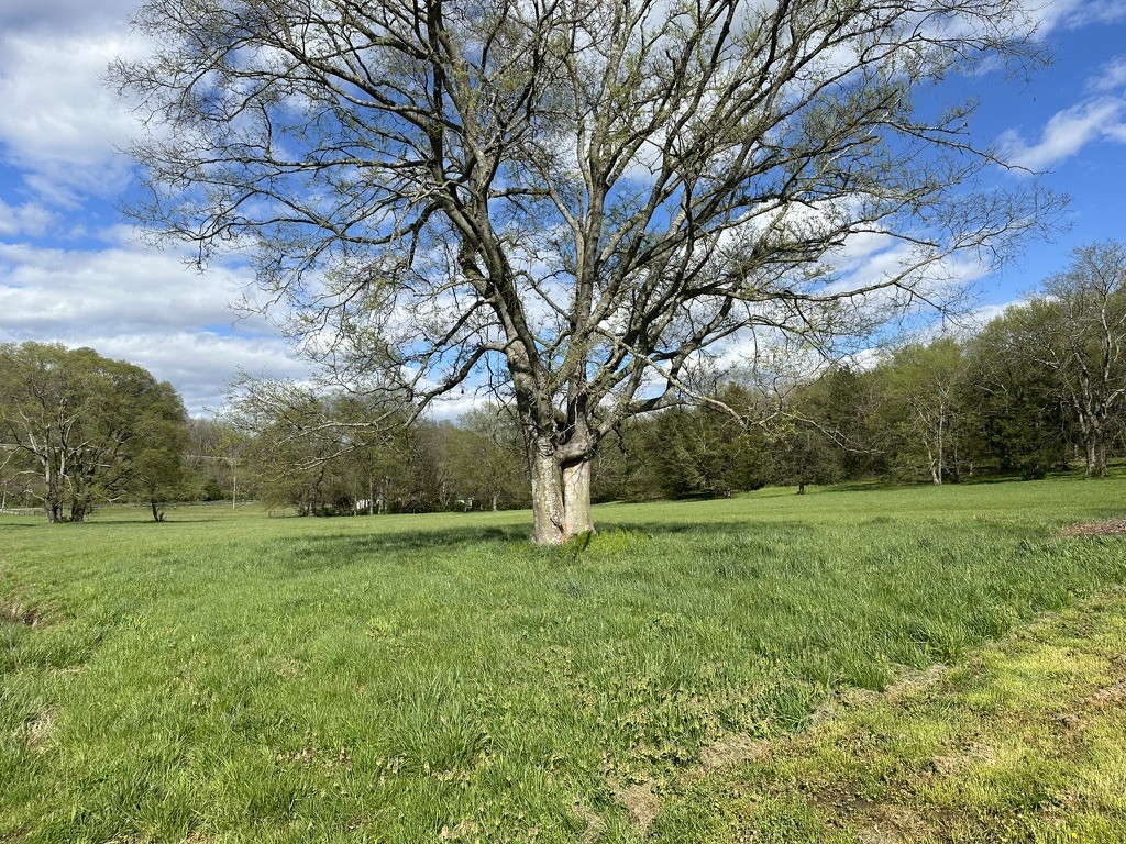0 Harpeth School Rd