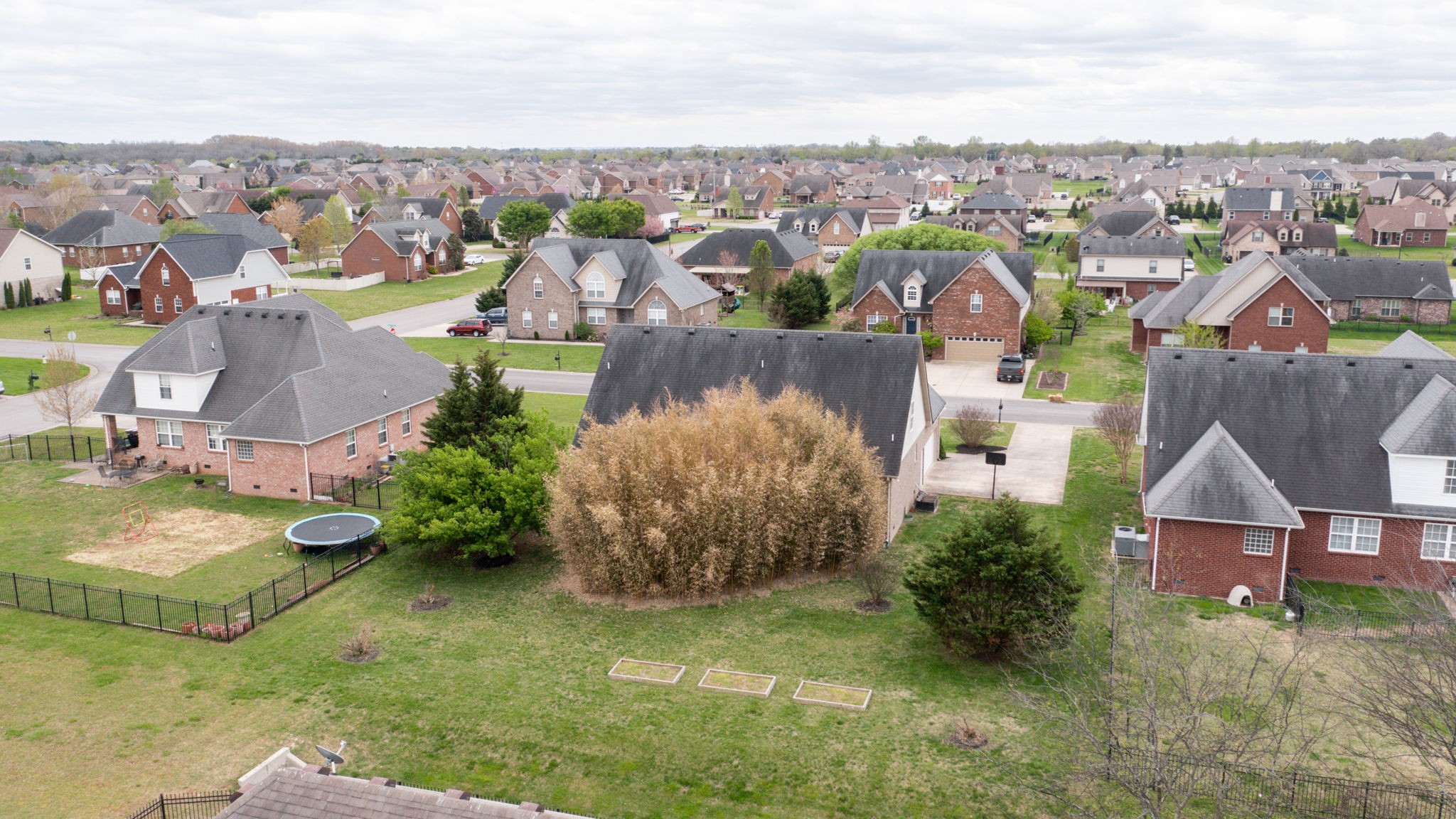 1406 Davy Crockett Dr