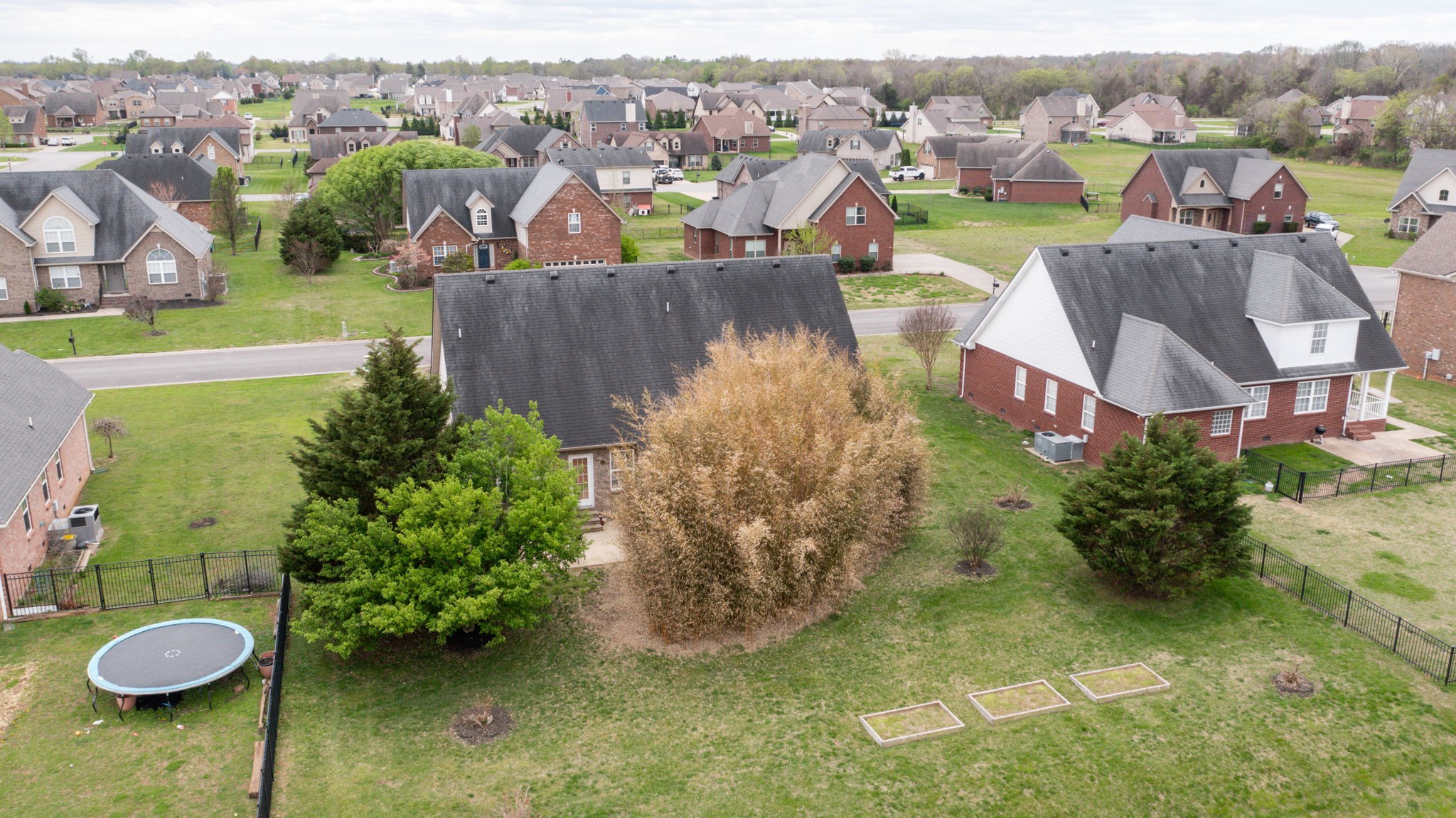 1406 Davy Crockett Dr
