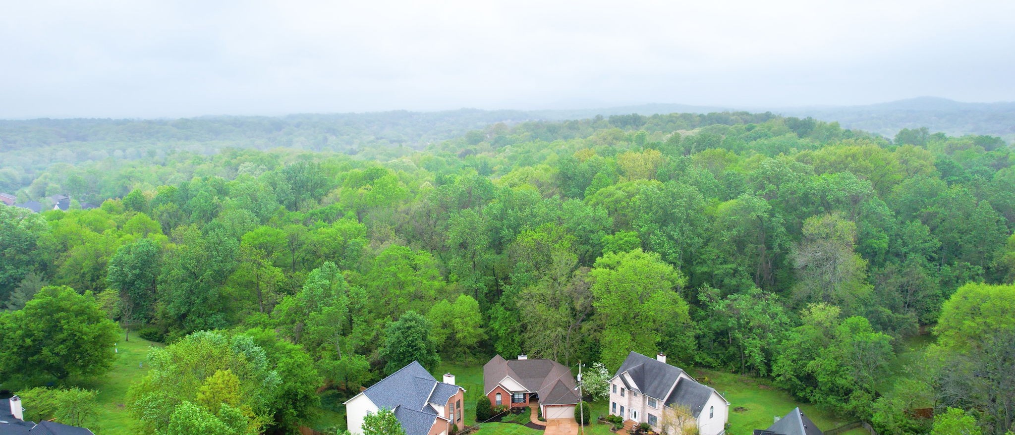 213 Woodfield Cv