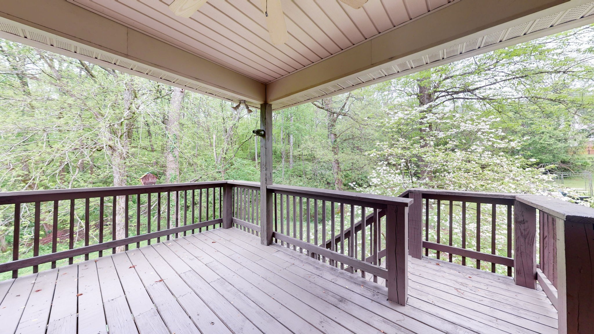 213 Woodfield Cv
