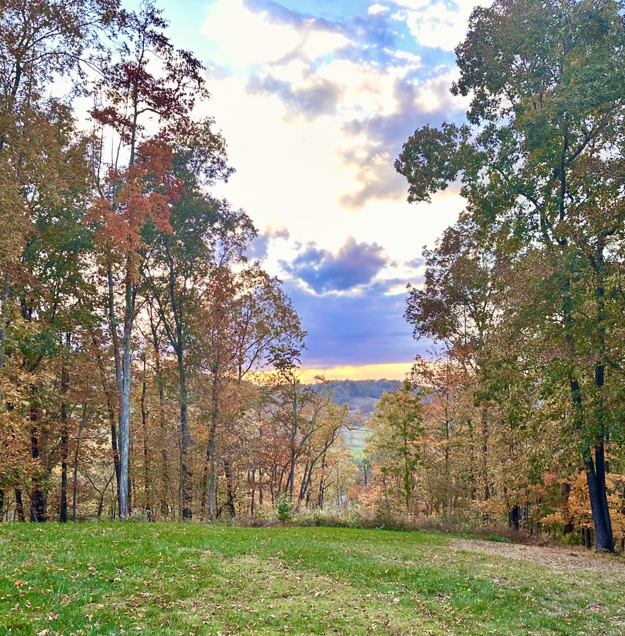 1885 Evergreen Rd