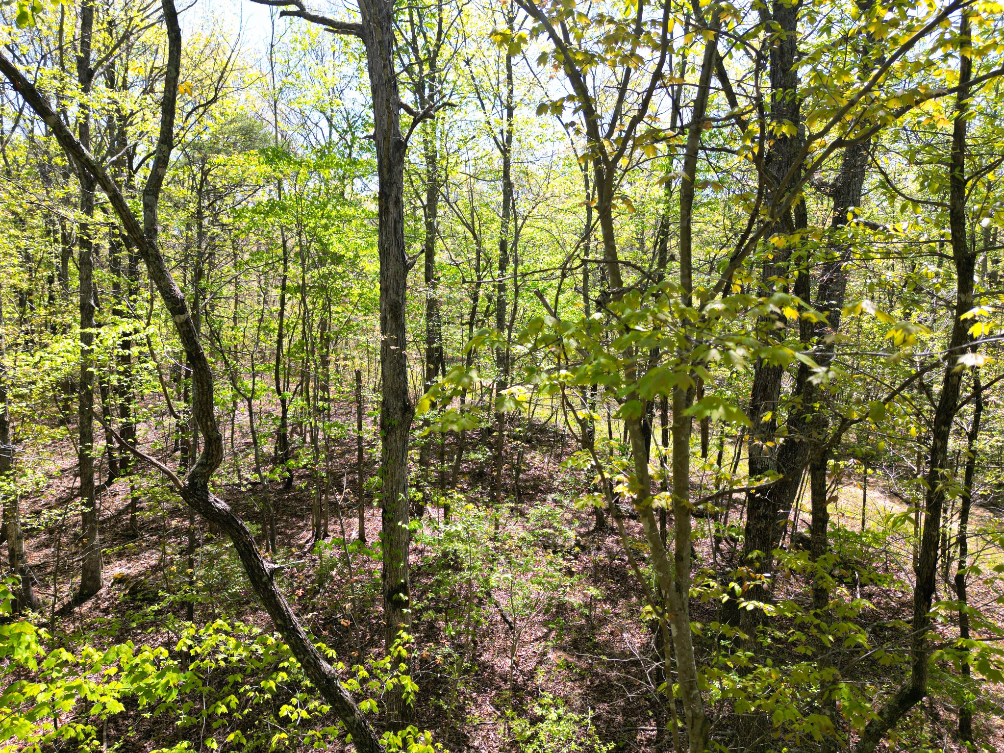 213 Sunset Bluff Way