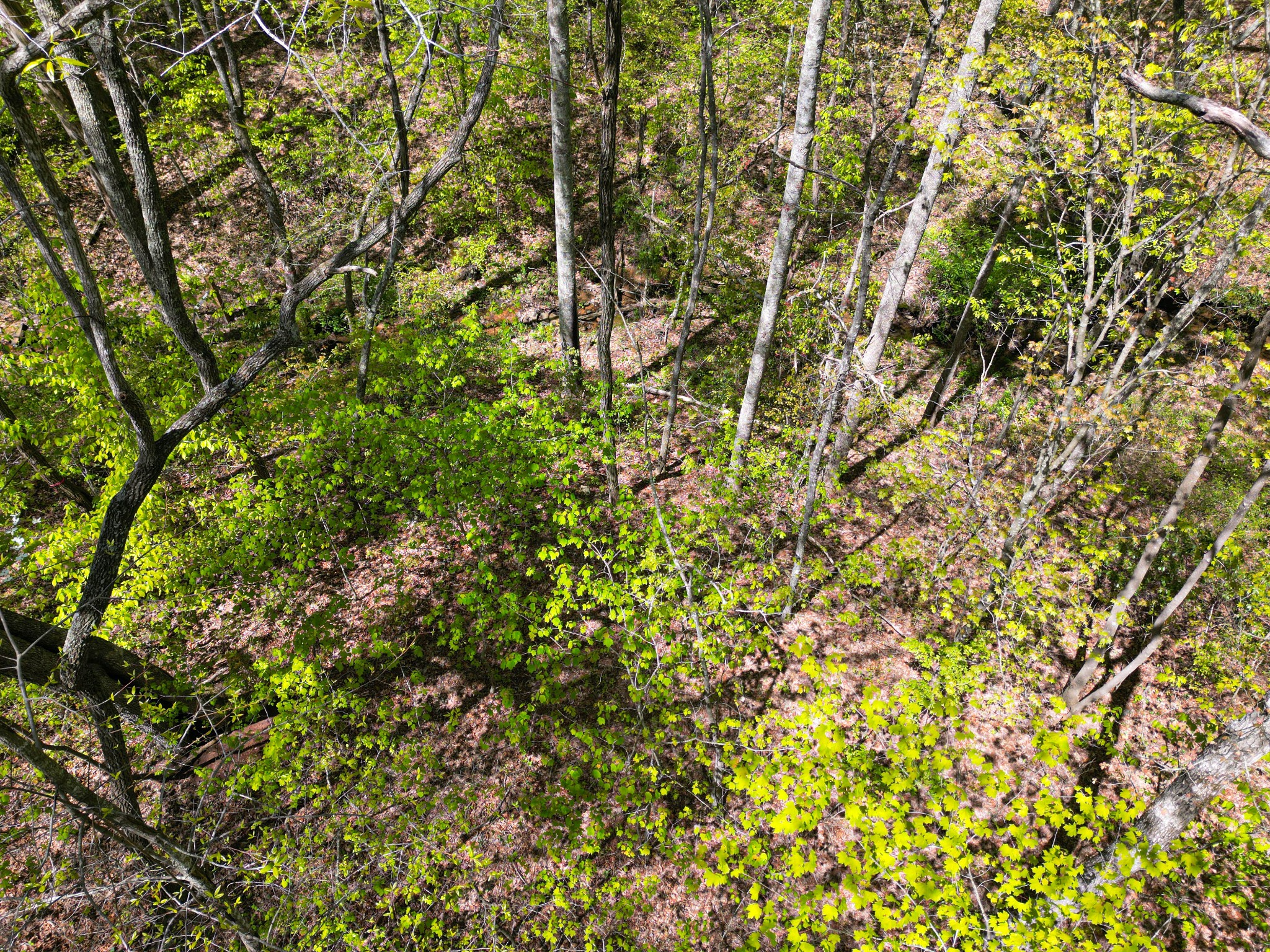 213 Sunset Bluff Way