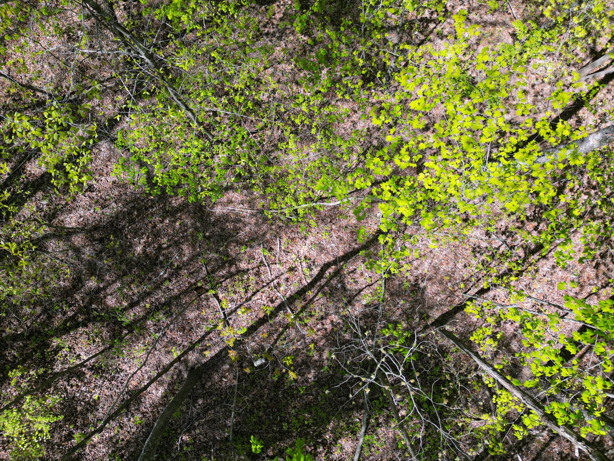 213 Sunset Bluff Way